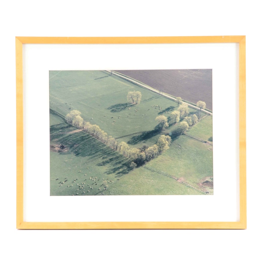 Barry Andersen Original Color Aerial Photograph of Farmland with Livestock