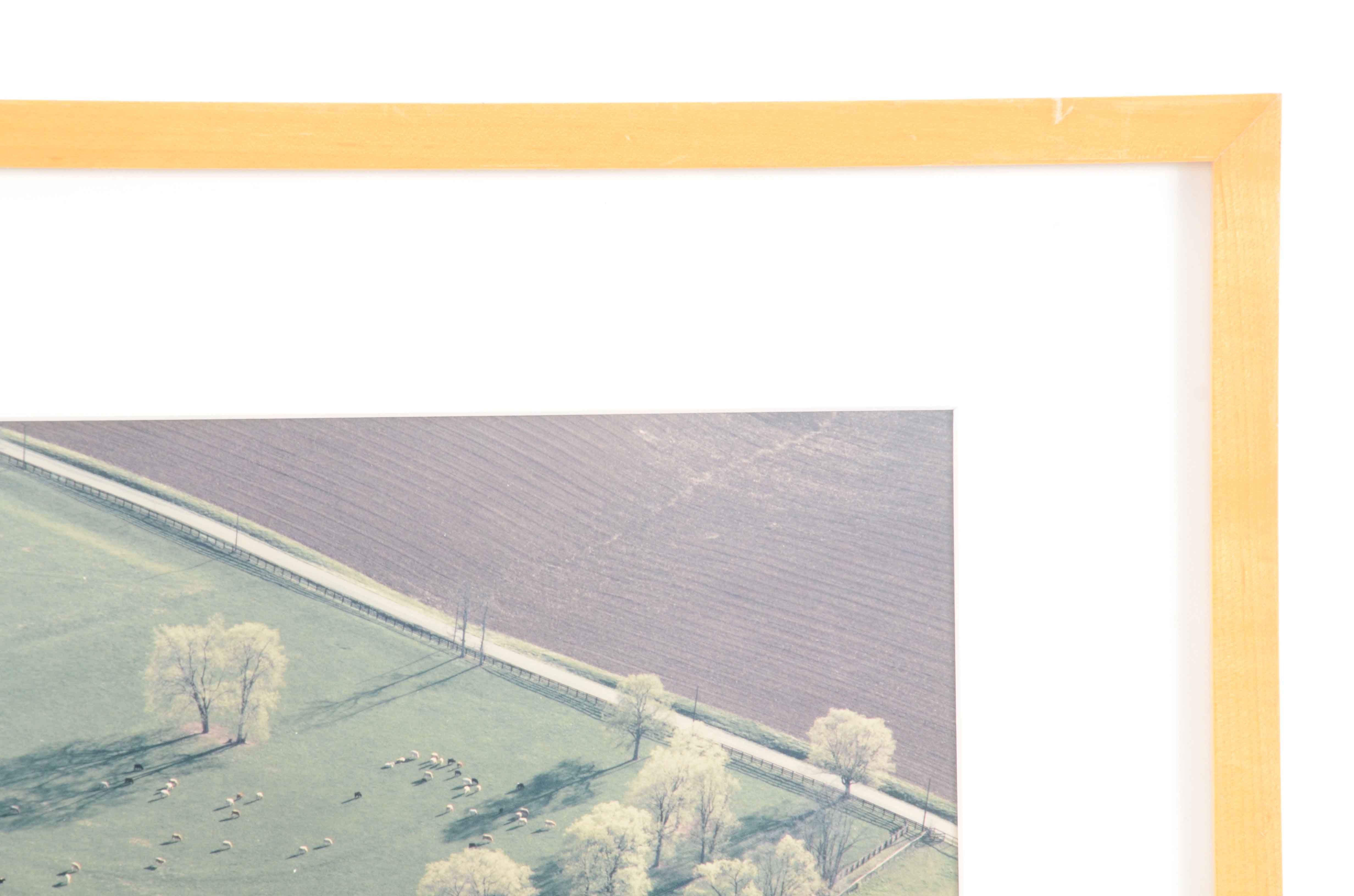 Barry Andersen Original Color Aerial Photograph of Farmland with Livestock