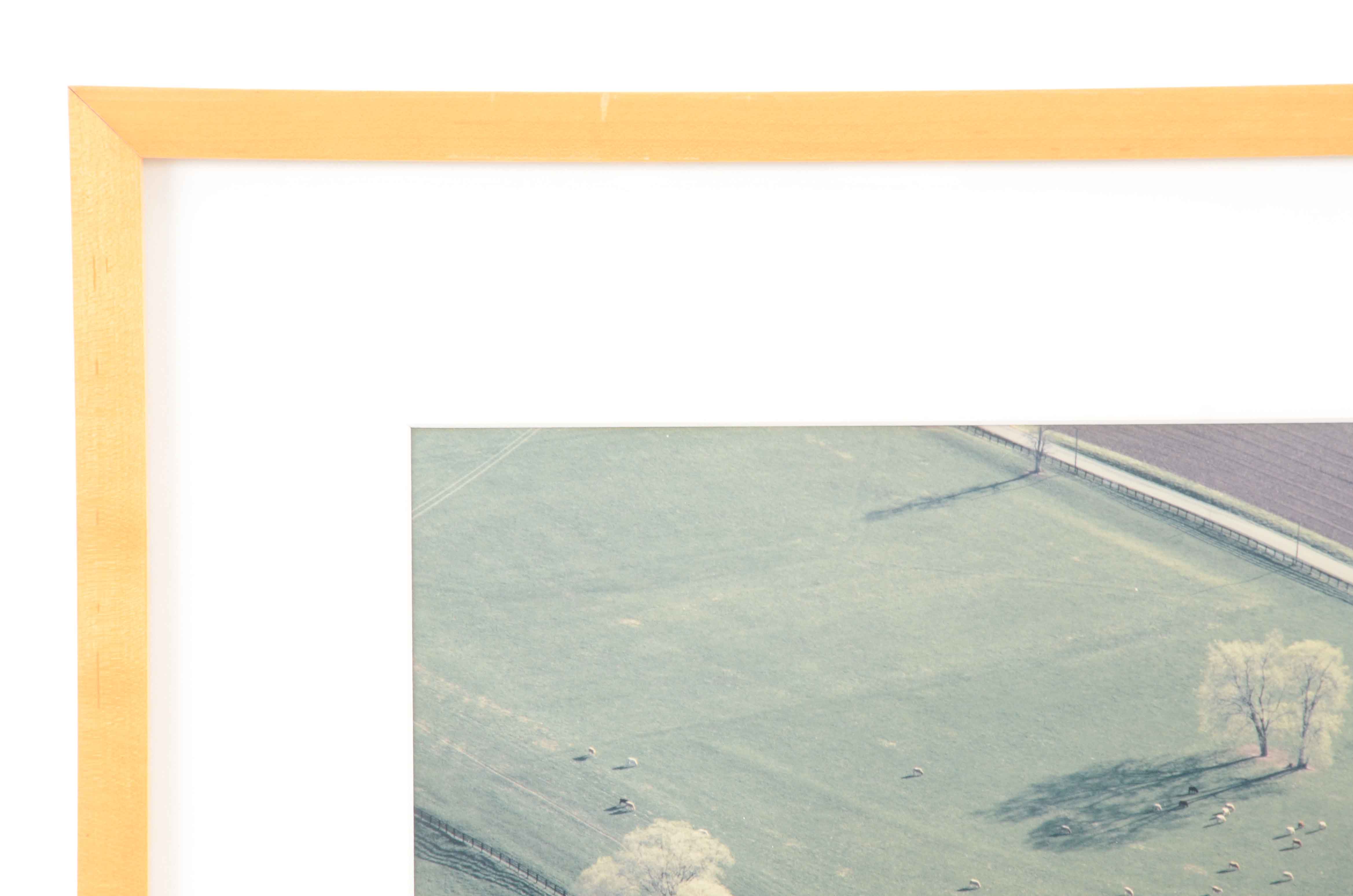 Barry Andersen Original Color Aerial Photograph of Farmland with Livestock