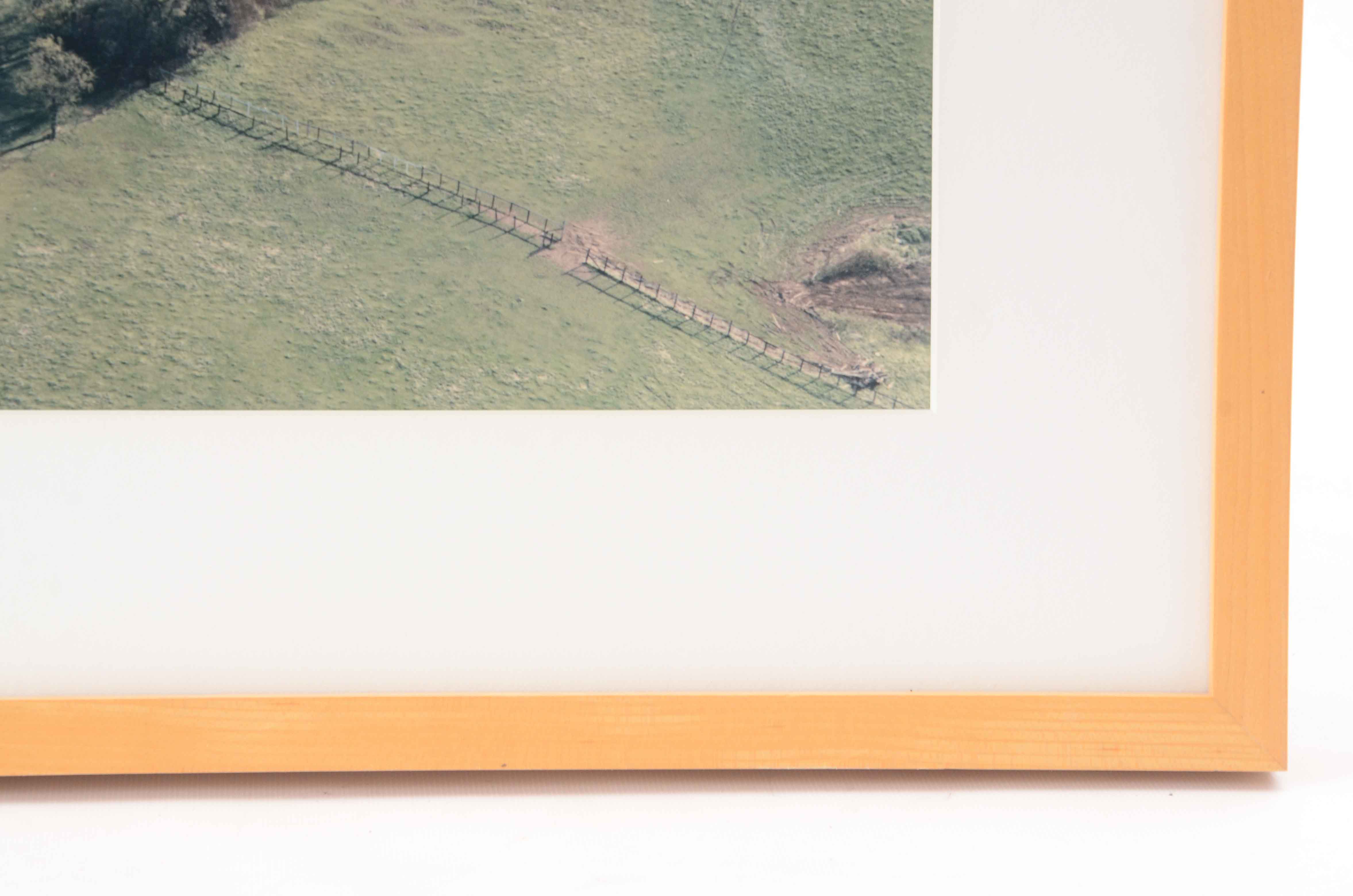 Barry Andersen Original Color Aerial Photograph of Farmland with Livestock