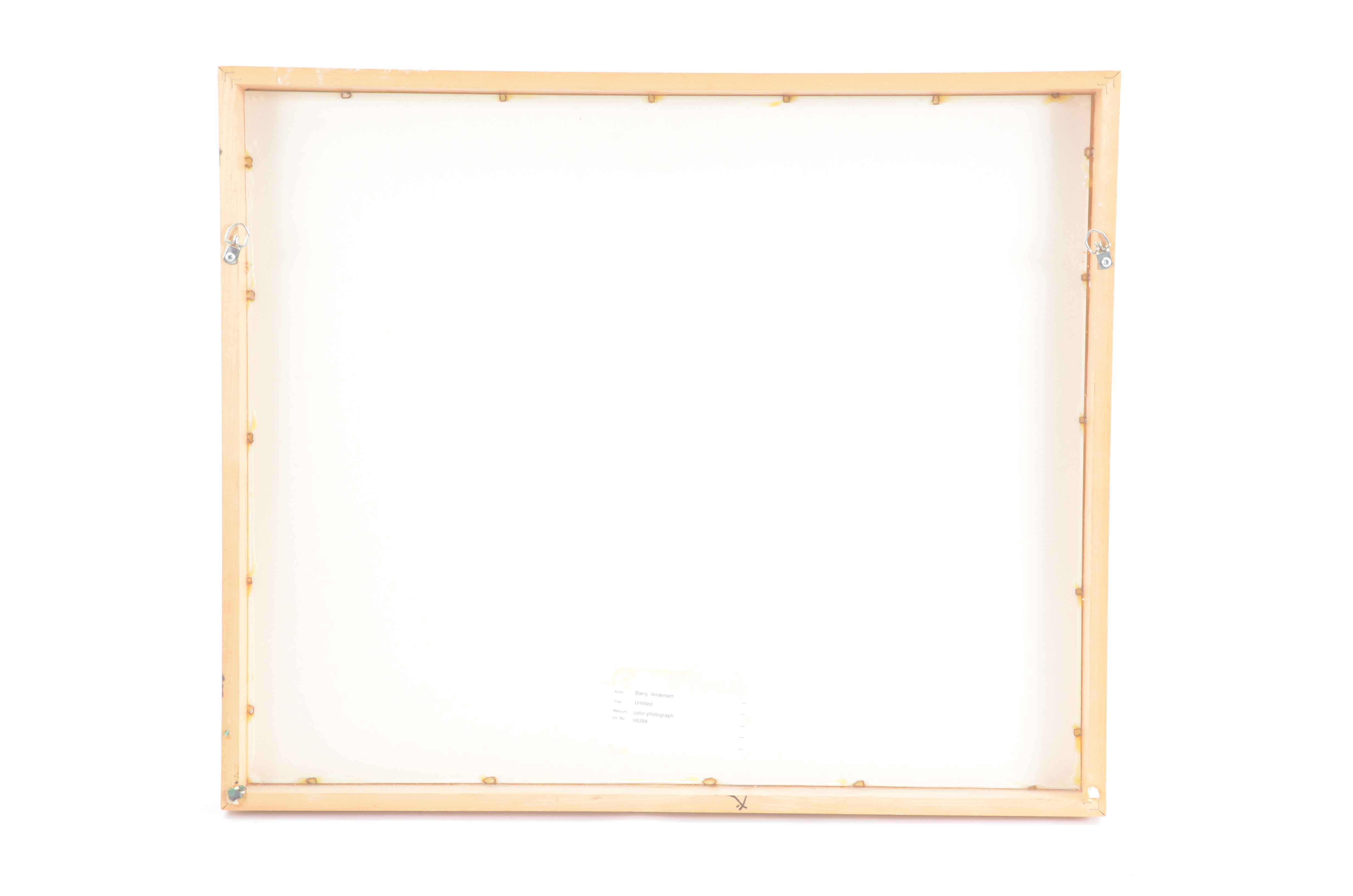 Barry Andersen Original Color Aerial Photograph of Farmland with Livestock