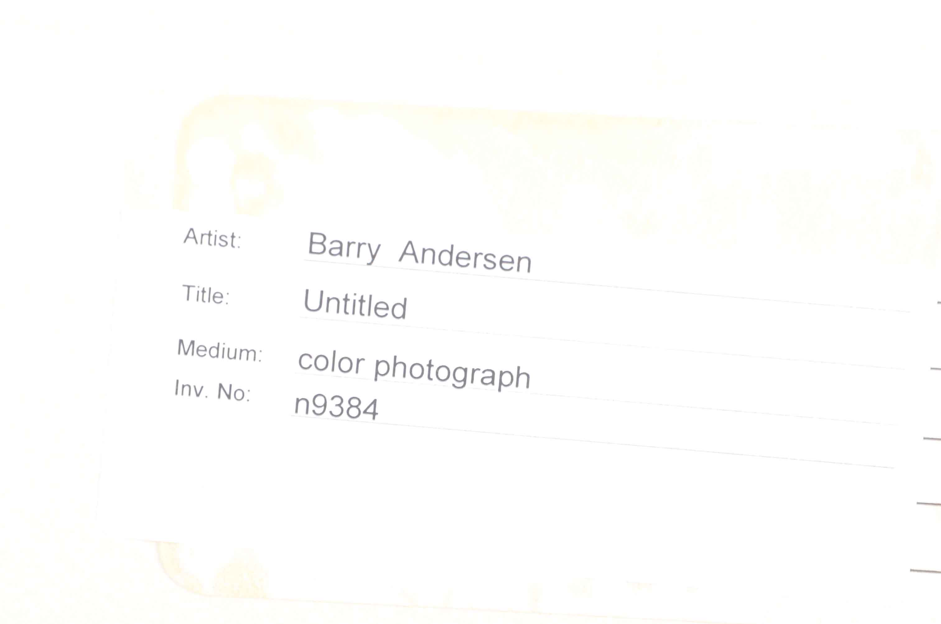 Barry Andersen Original Color Aerial Photograph of Farmland with Livestock