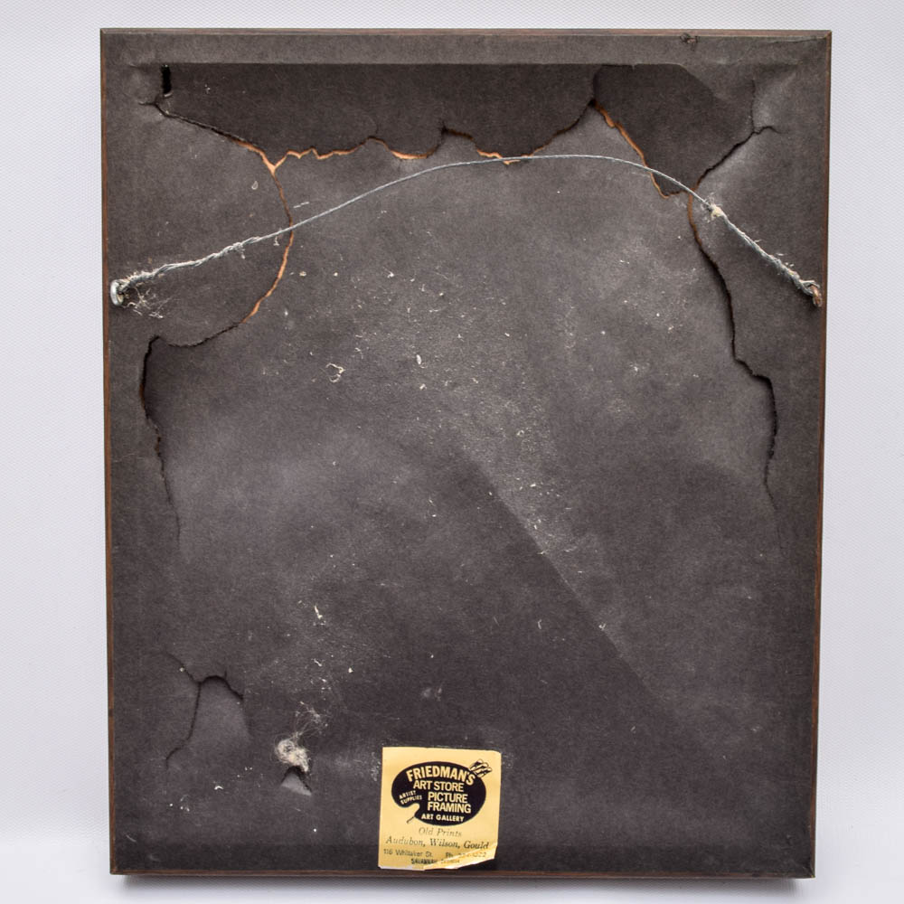 Joy Jerviss Signed Limited Edition Etching "Flight"