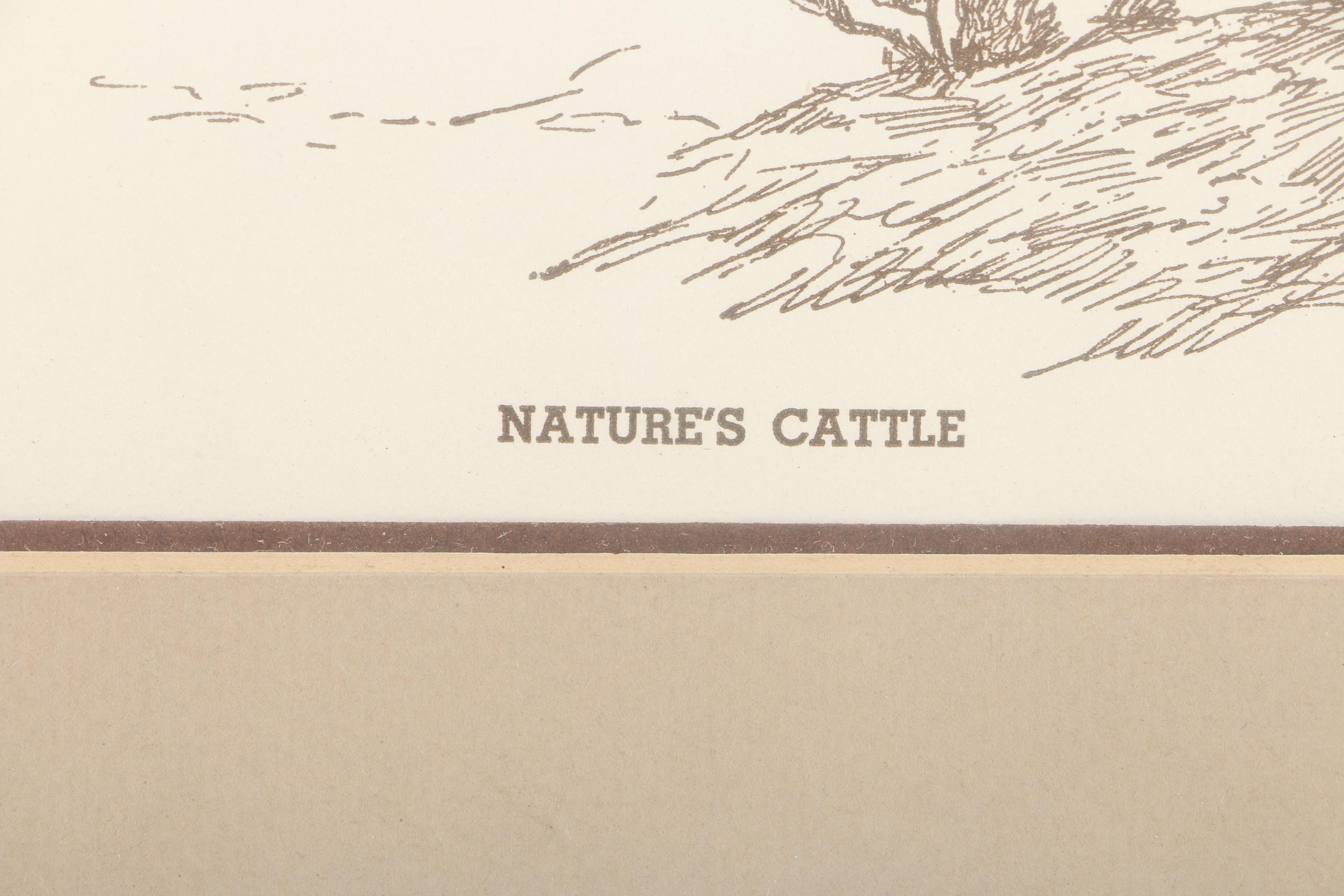 Lithograph on Paper After C. M. Russell "Nature's Cattle"
