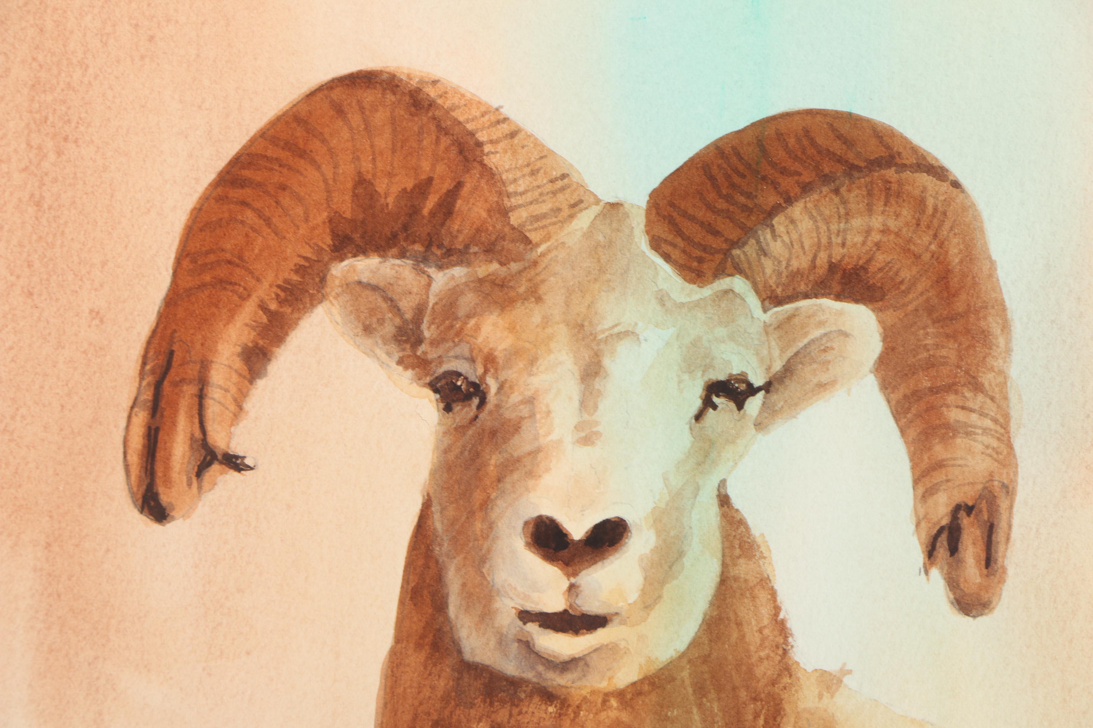 Edna Carter Gouache on Paper Bighorn Sheep