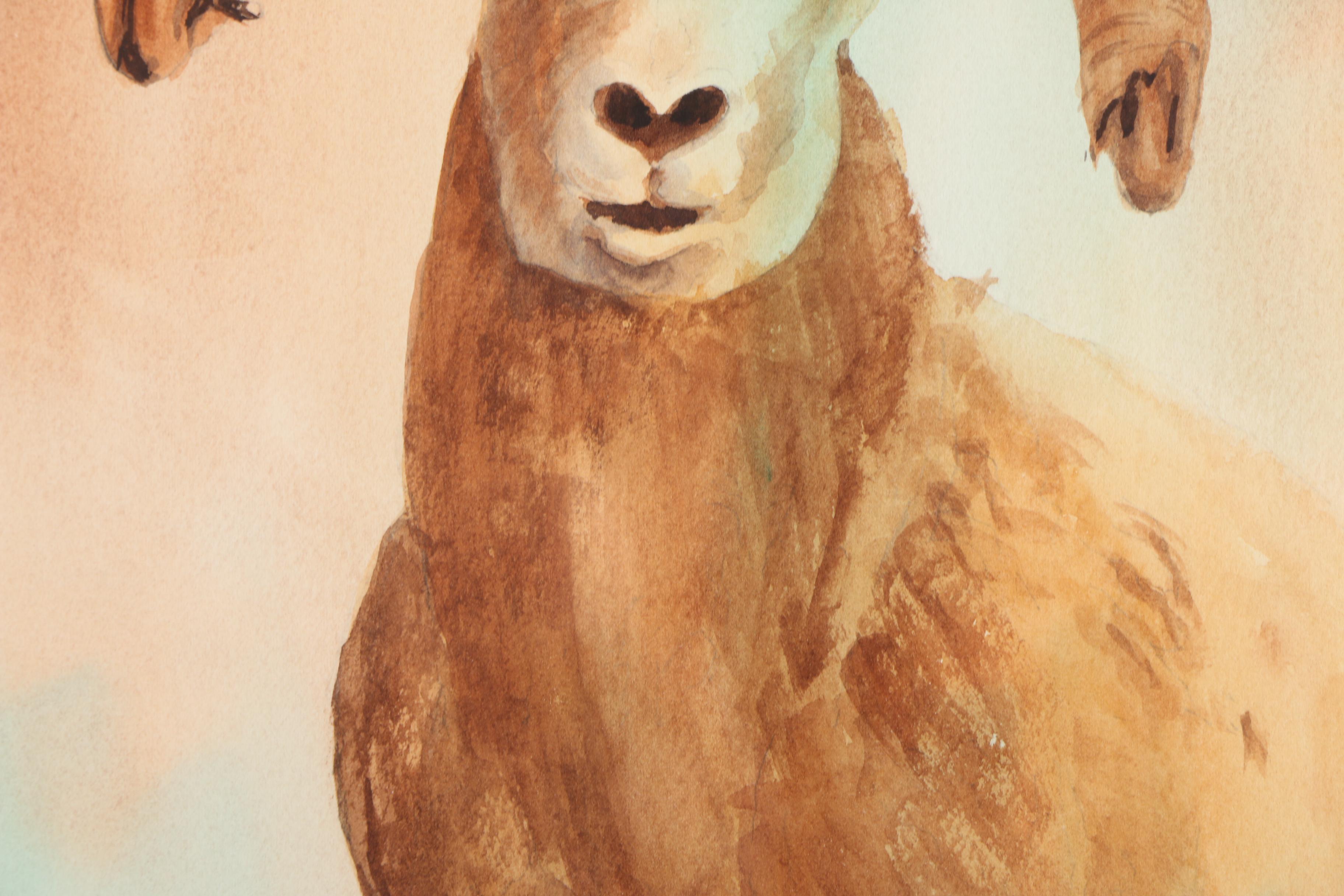 Edna Carter Gouache on Paper Bighorn Sheep