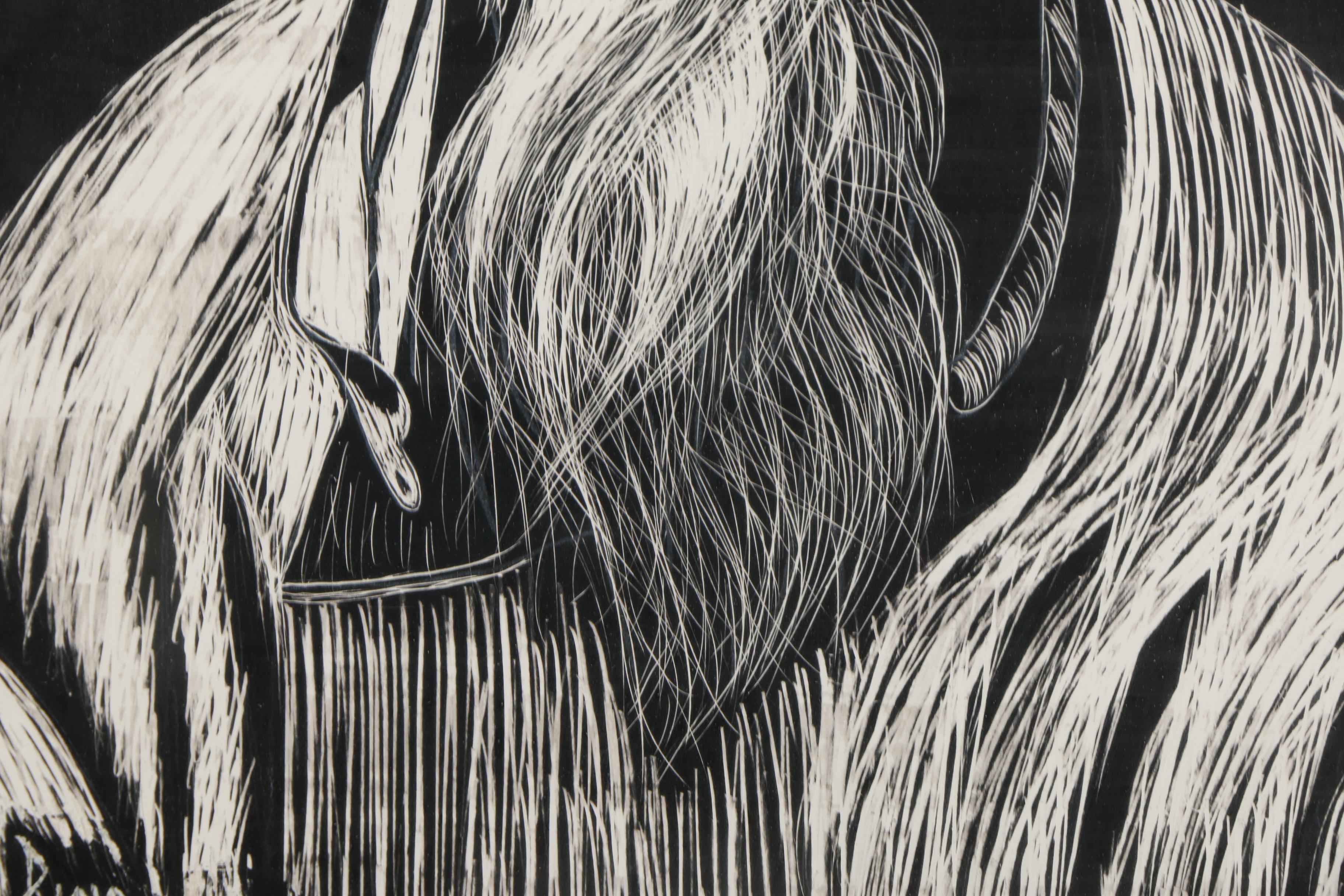 Rina Scratchboard Illustration of an Elderly Man