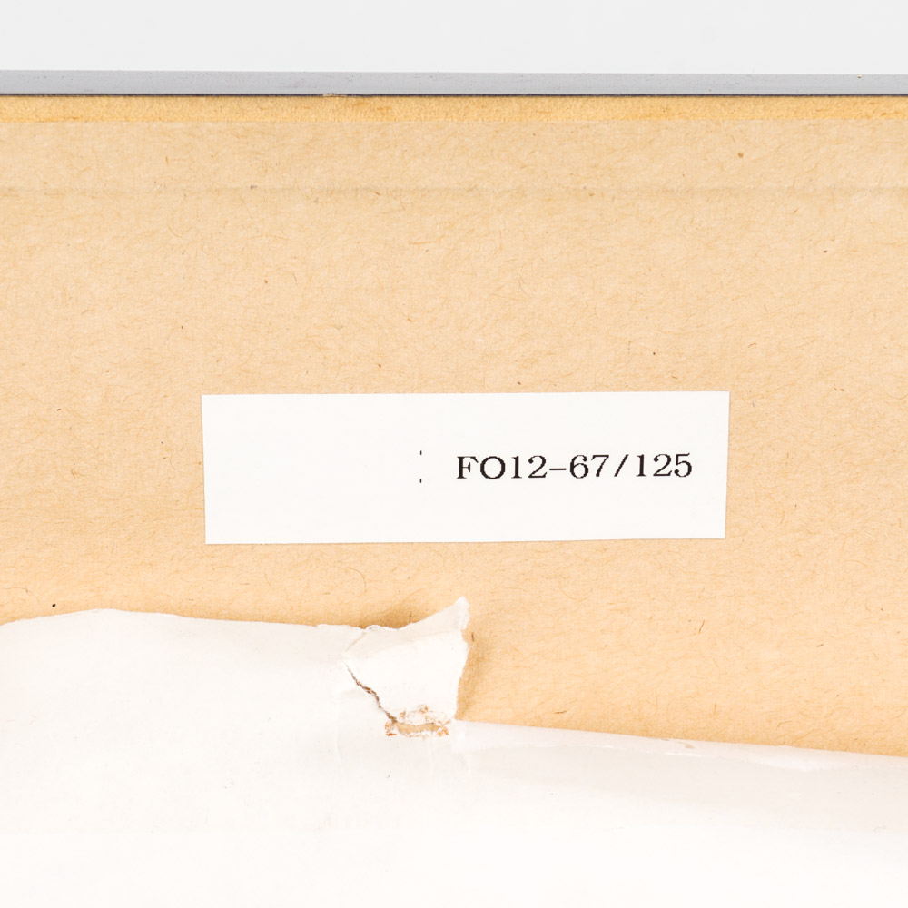 Lou Scheimer/Filmation Limited Edition "Sabrina the Teenage Witch" Animation Cel