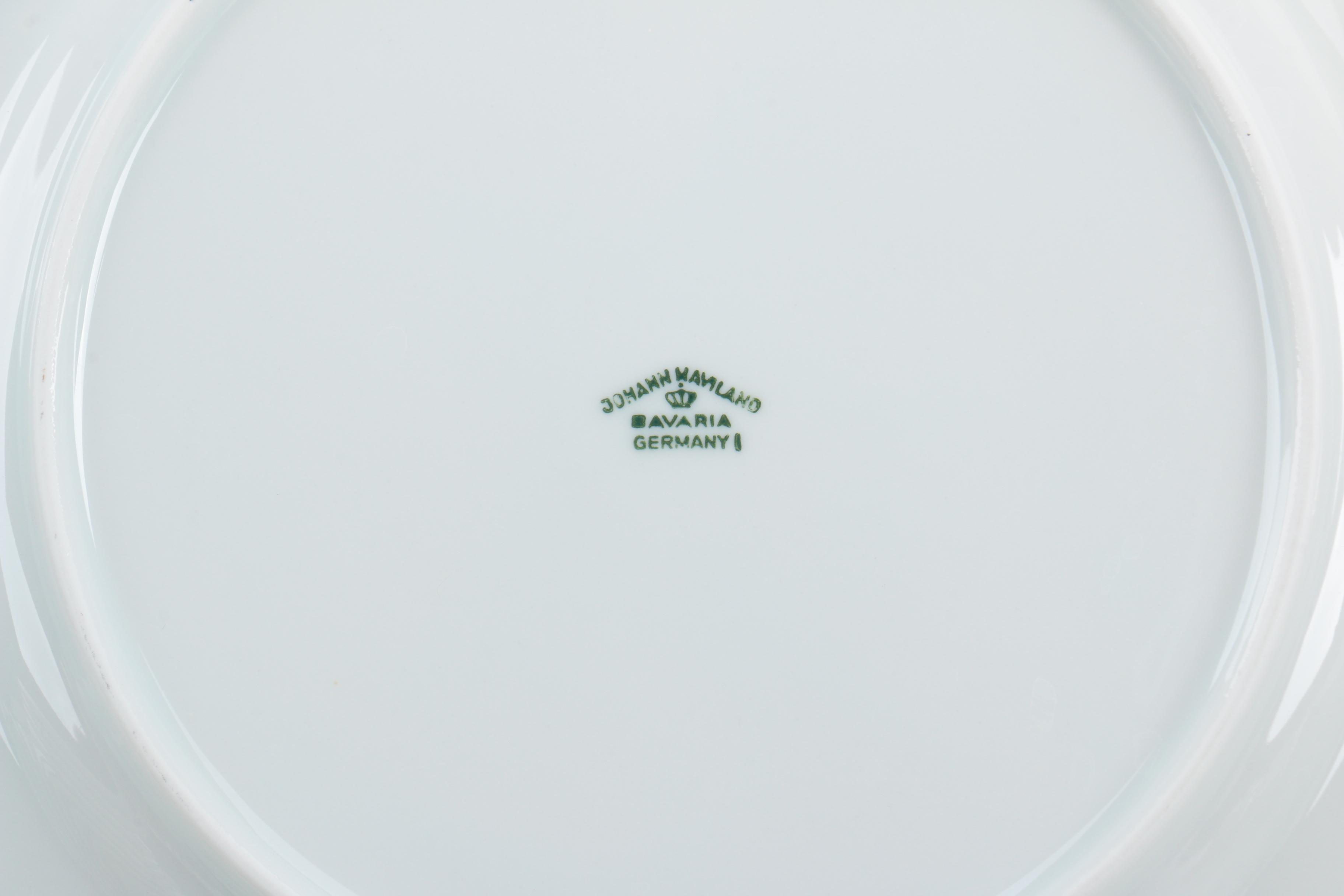 Johann Haviland "Forever Spring" Porcelain Tableware