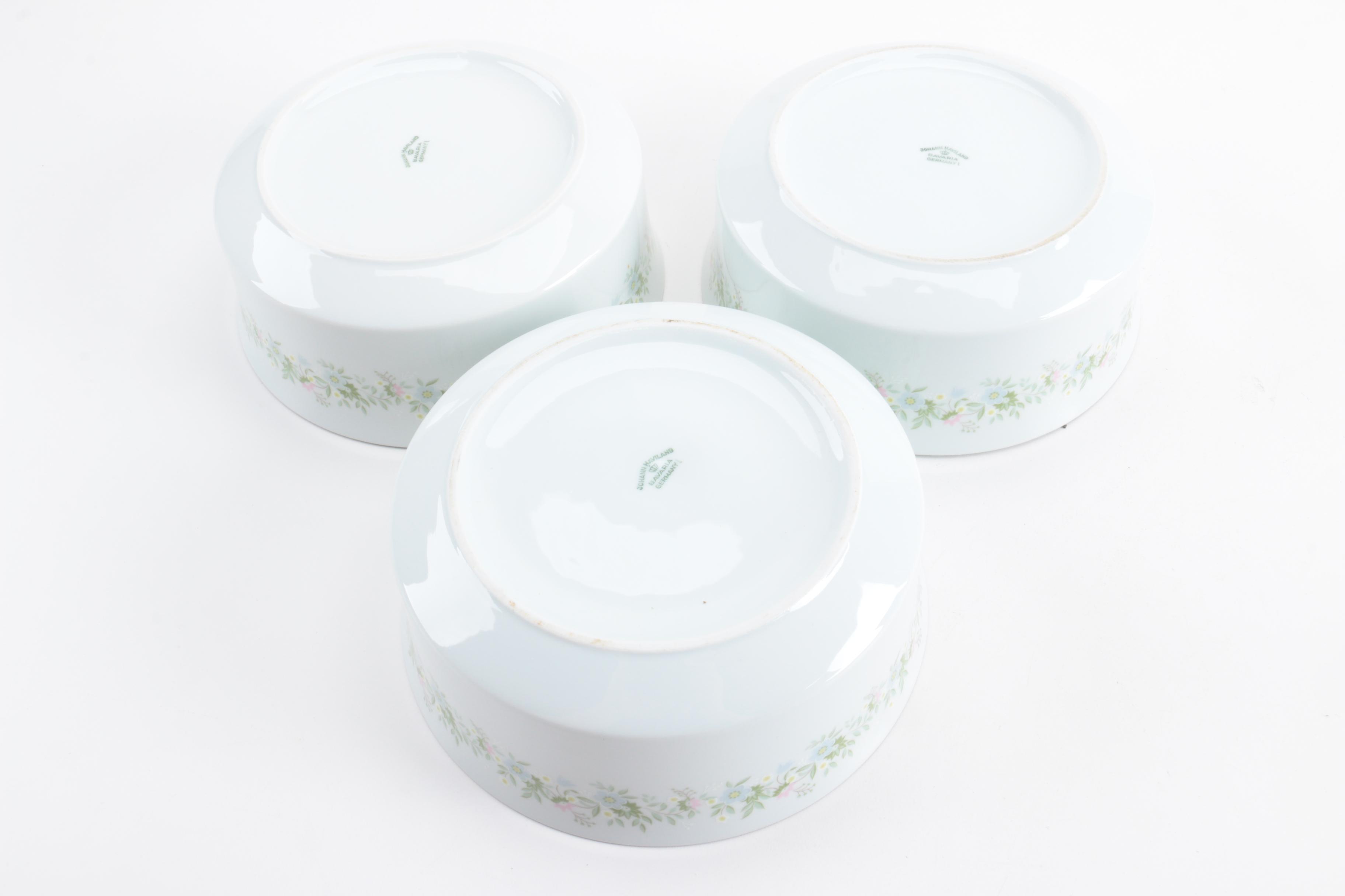 Johann Haviland "Forever Spring" Porcelain Tableware