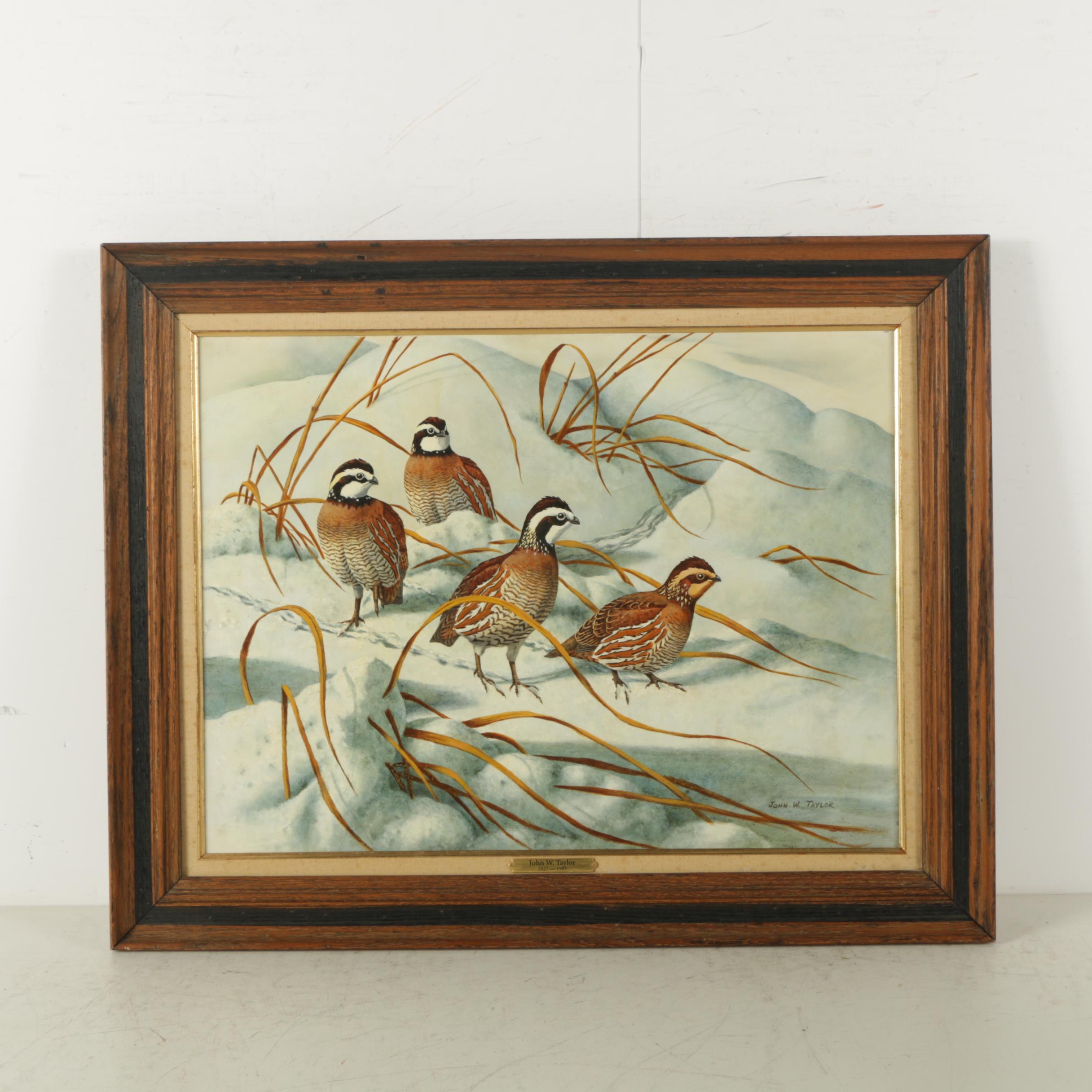 John W. Taylor Oil Painting on Board of Quails