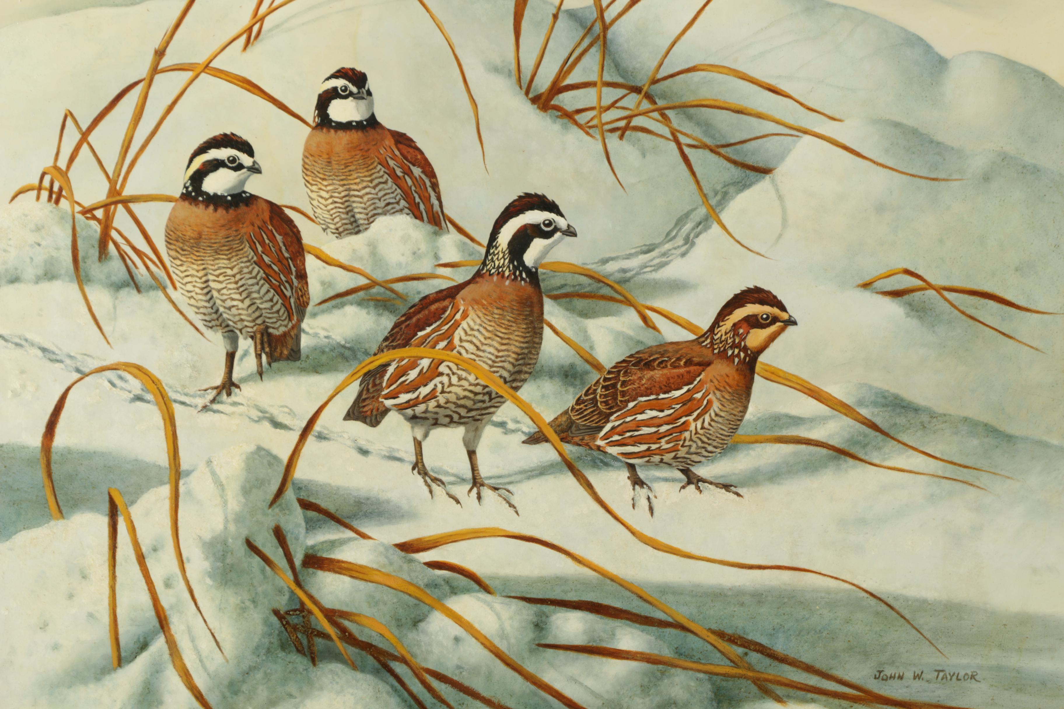 John W. Taylor Oil Painting on Board of Quails