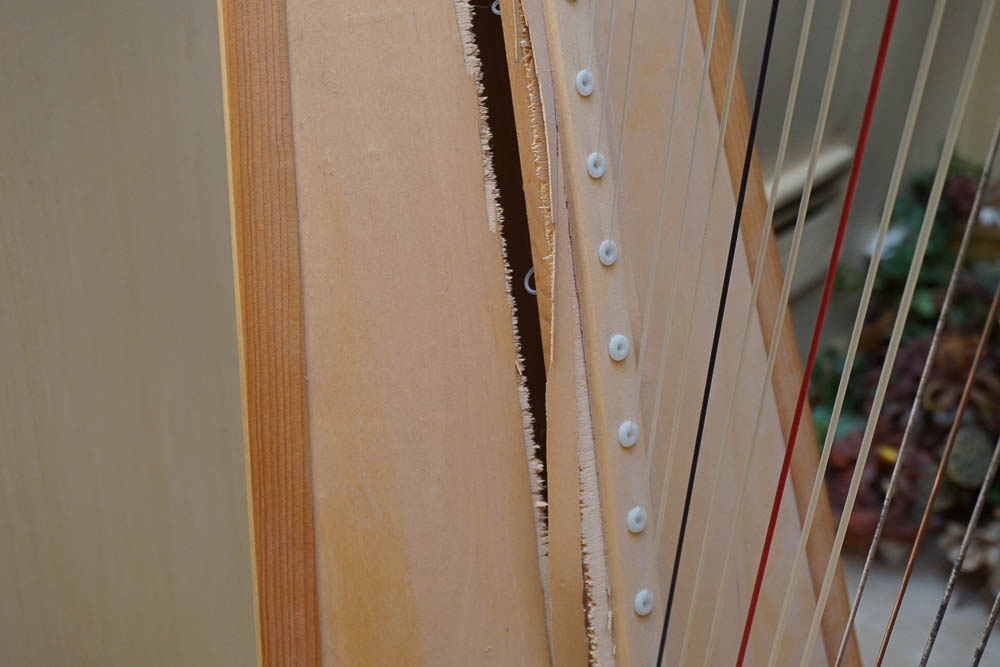 Lyon & Healy Troubadour Lever Harp