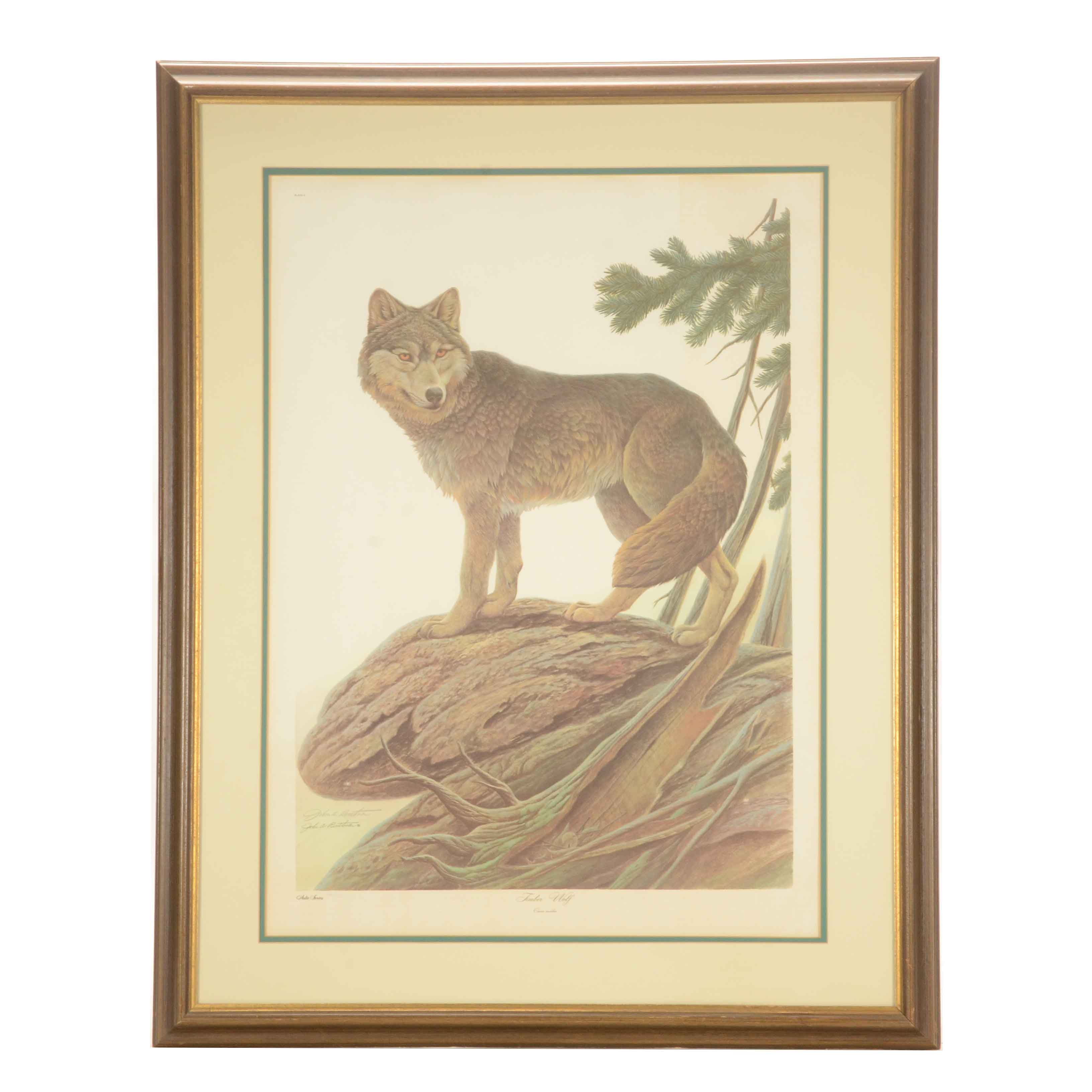 John Ruthven Signed Limited Edition Offset Lithograph "Timber Wolf"