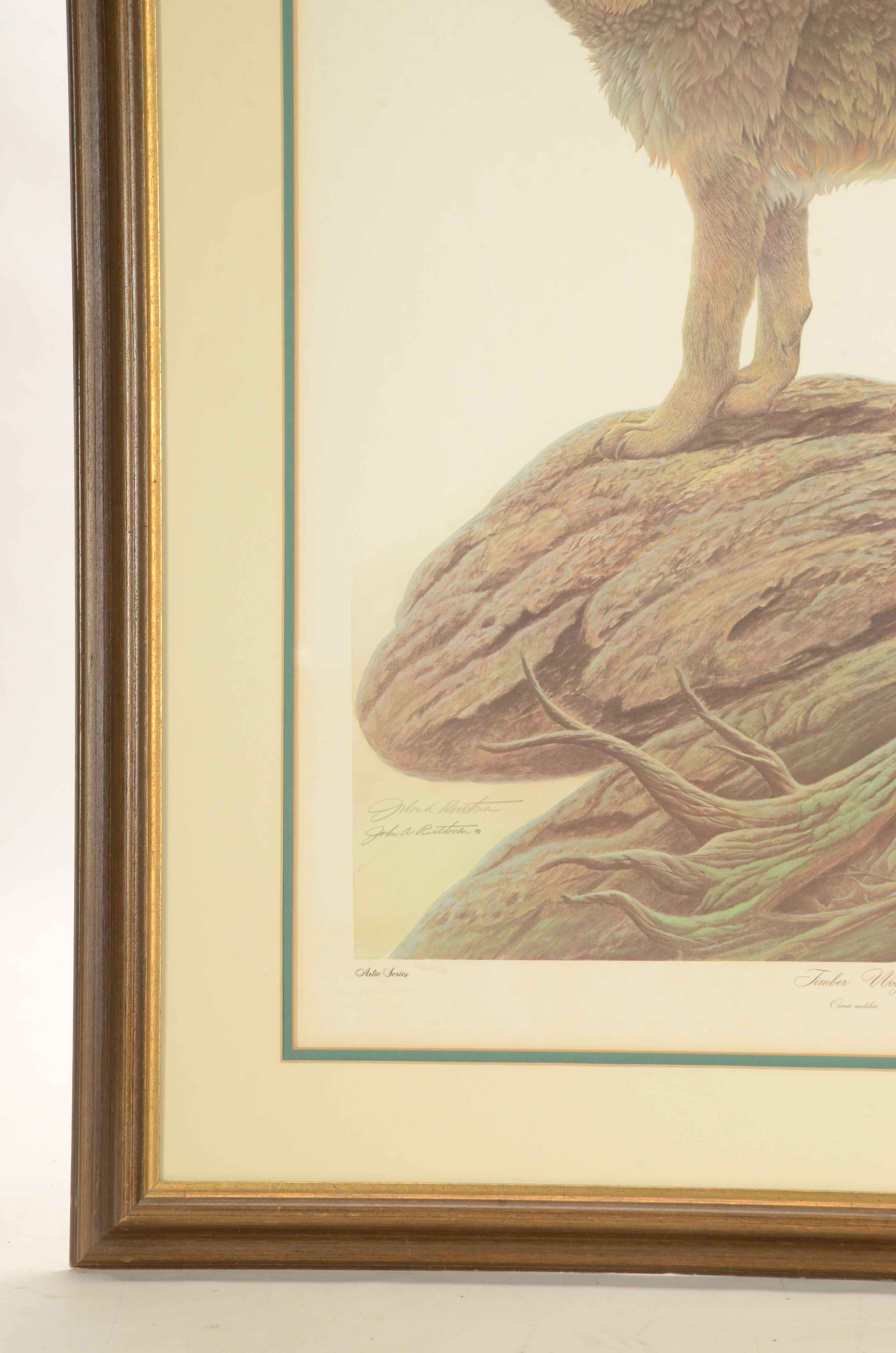 John Ruthven Signed Limited Edition Offset Lithograph "Timber Wolf"