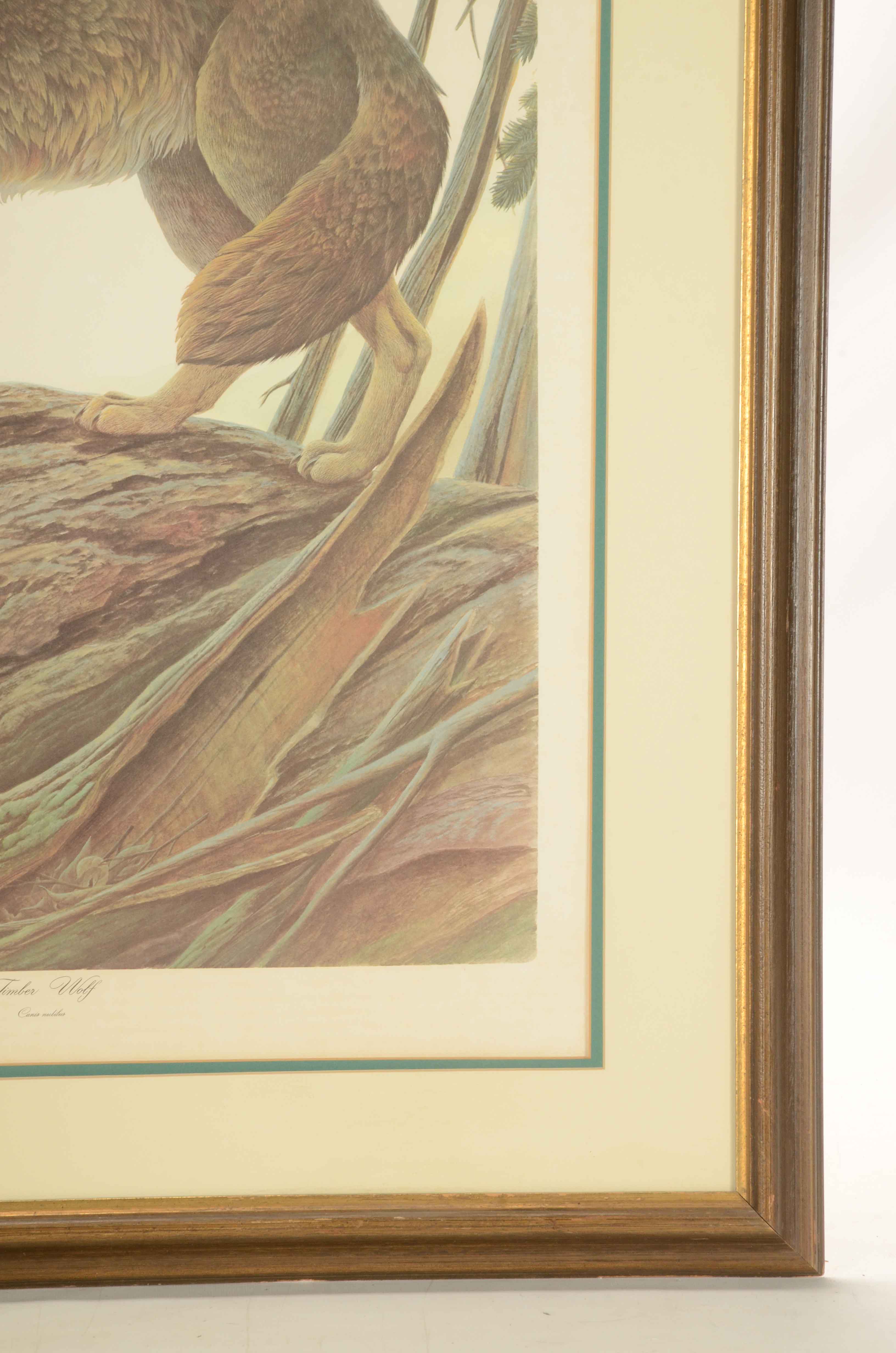 John Ruthven Signed Limited Edition Offset Lithograph "Timber Wolf"