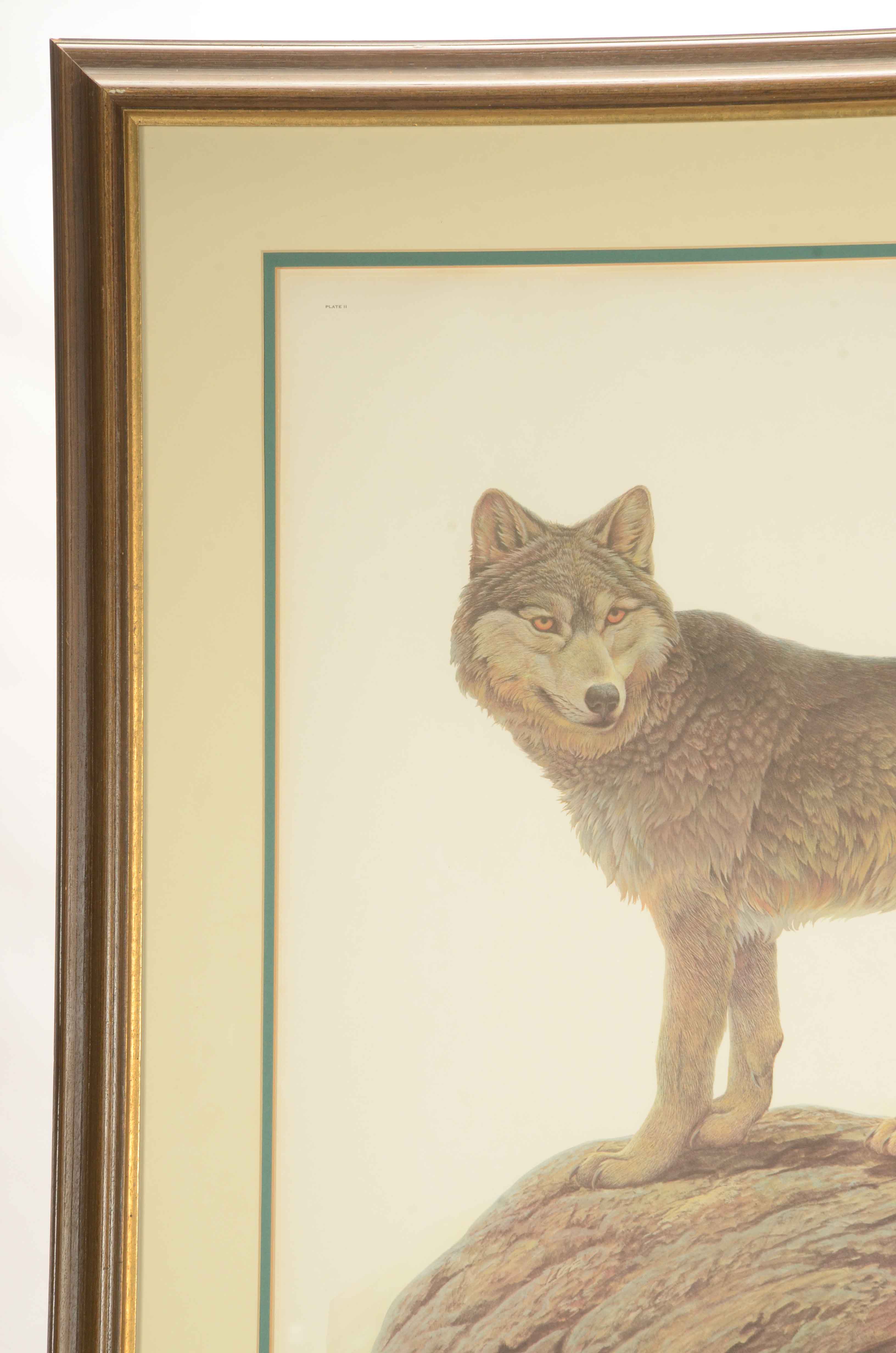John Ruthven Signed Limited Edition Offset Lithograph "Timber Wolf"