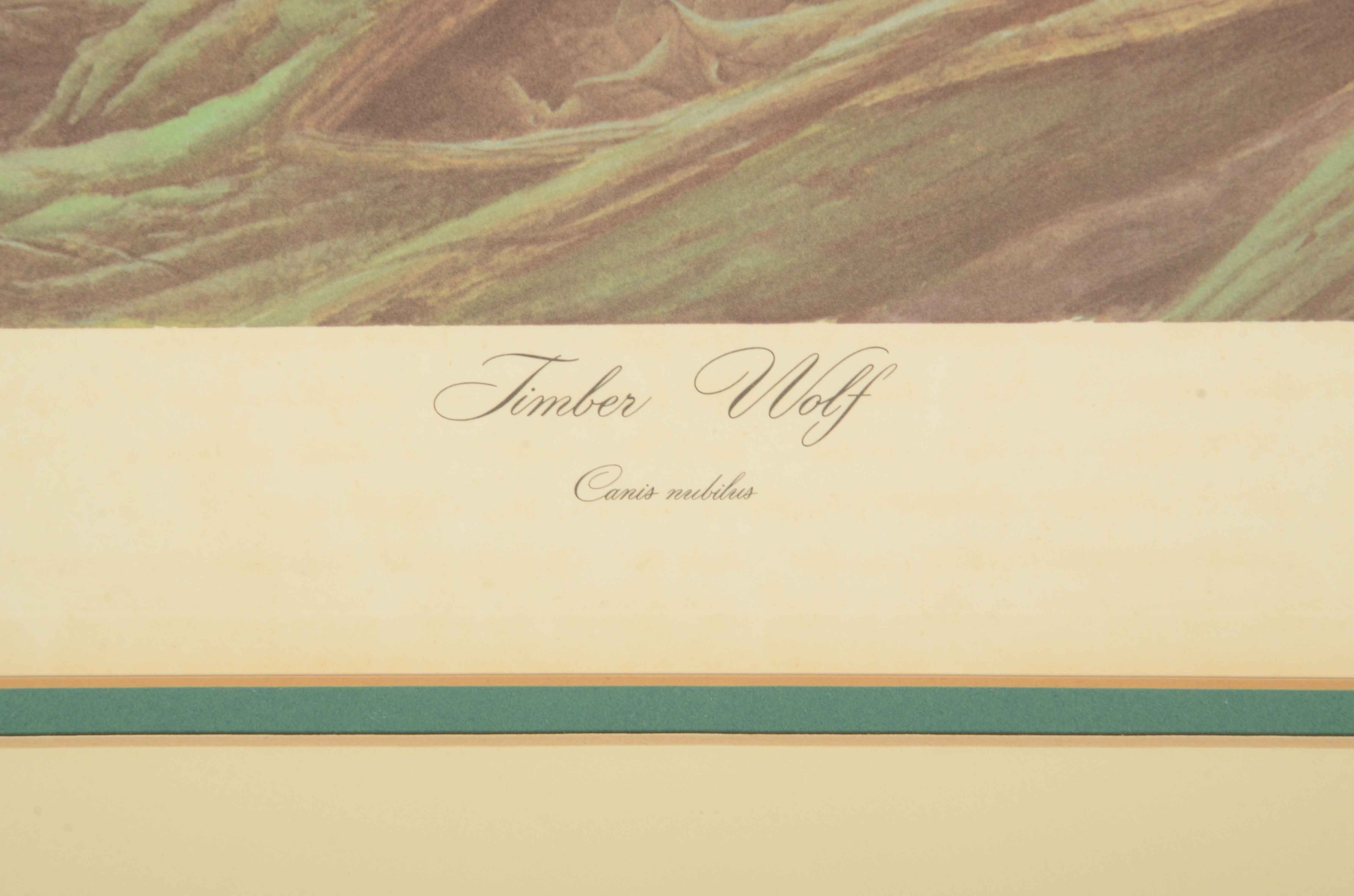 John Ruthven Signed Limited Edition Offset Lithograph "Timber Wolf"