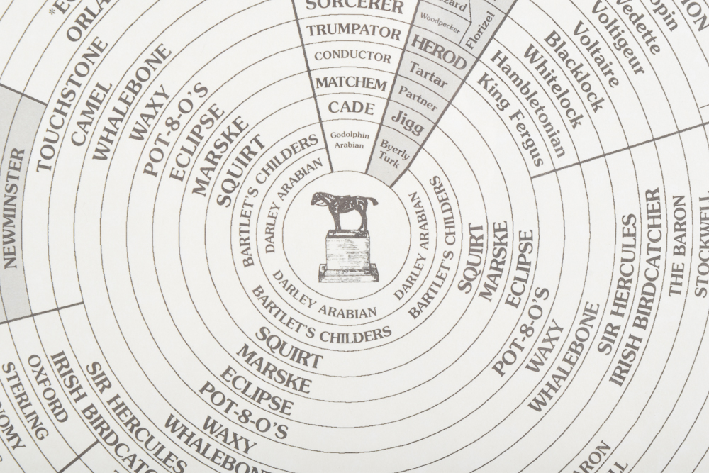 Offset Lithograph "Prominent Sire Lines In America 2000"