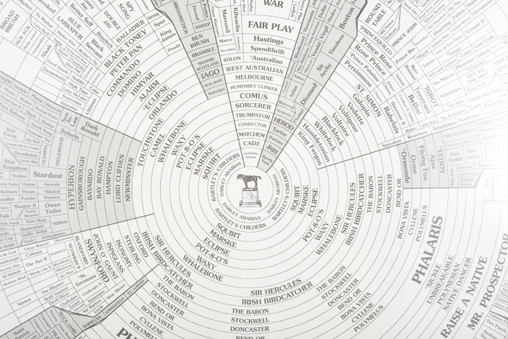 Offset Lithograph "Prominent Sire Lines In America 2000"