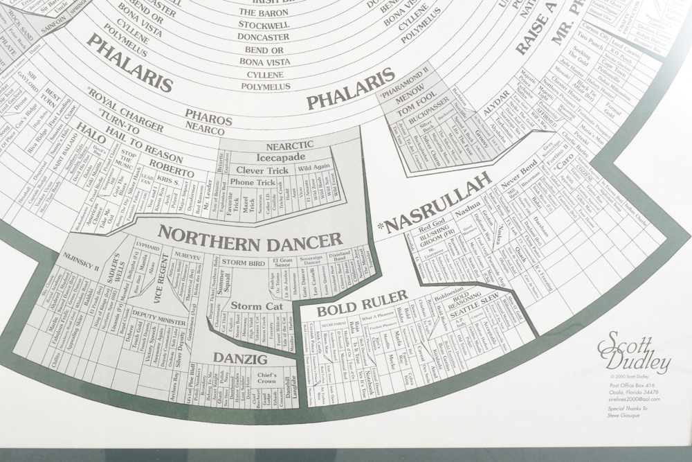 Offset Lithograph "Prominent Sire Lines In America 2000"