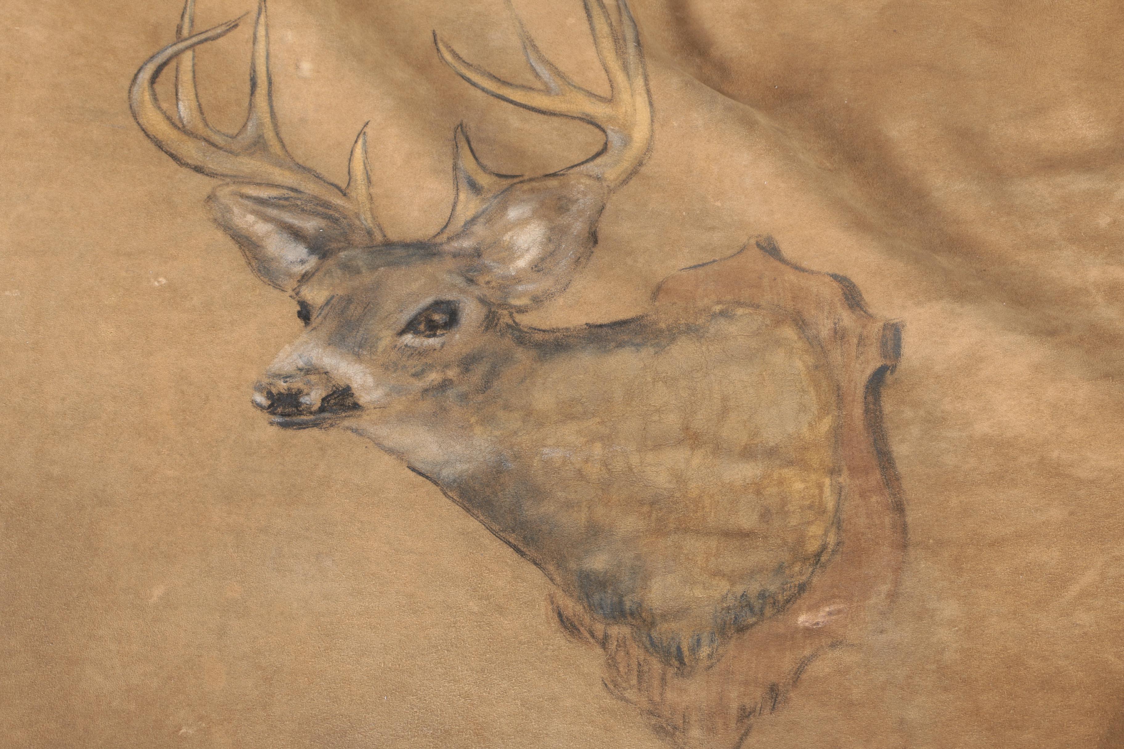 Charcoal Drawing on Leather of a Deer's Head