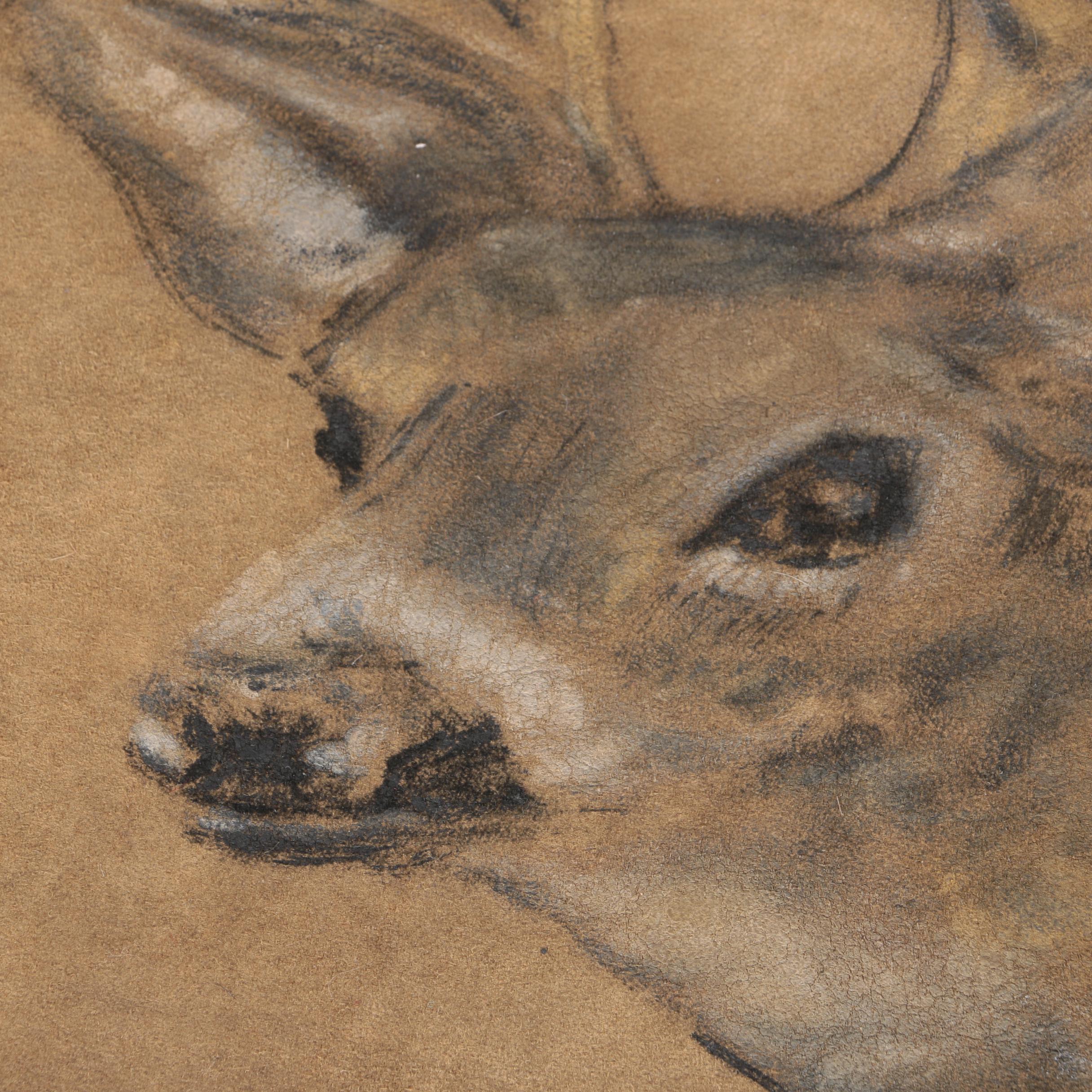 Charcoal Drawing on Leather of a Deer's Head