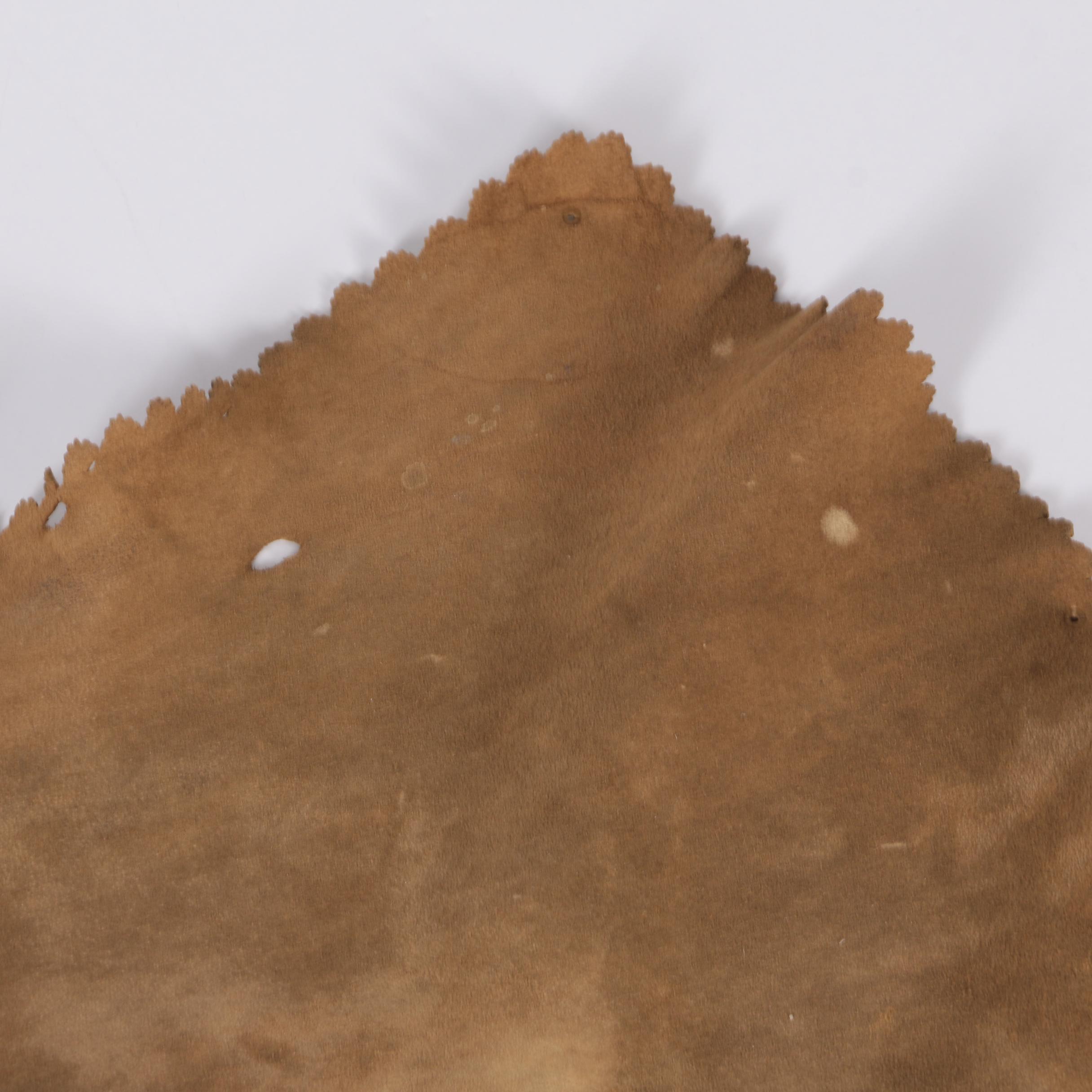 Charcoal Drawing on Leather of a Deer's Head