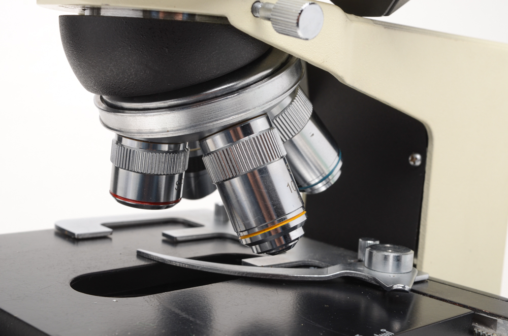 Carlsan Compound Microscope