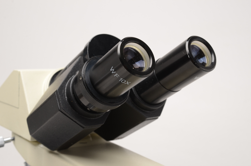 Carlsan Compound Microscope