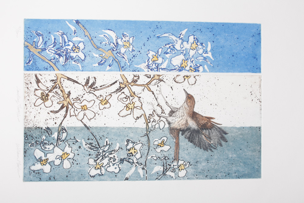 William Marlow Applied Colored Intaglio Print "Landing Thrasher"