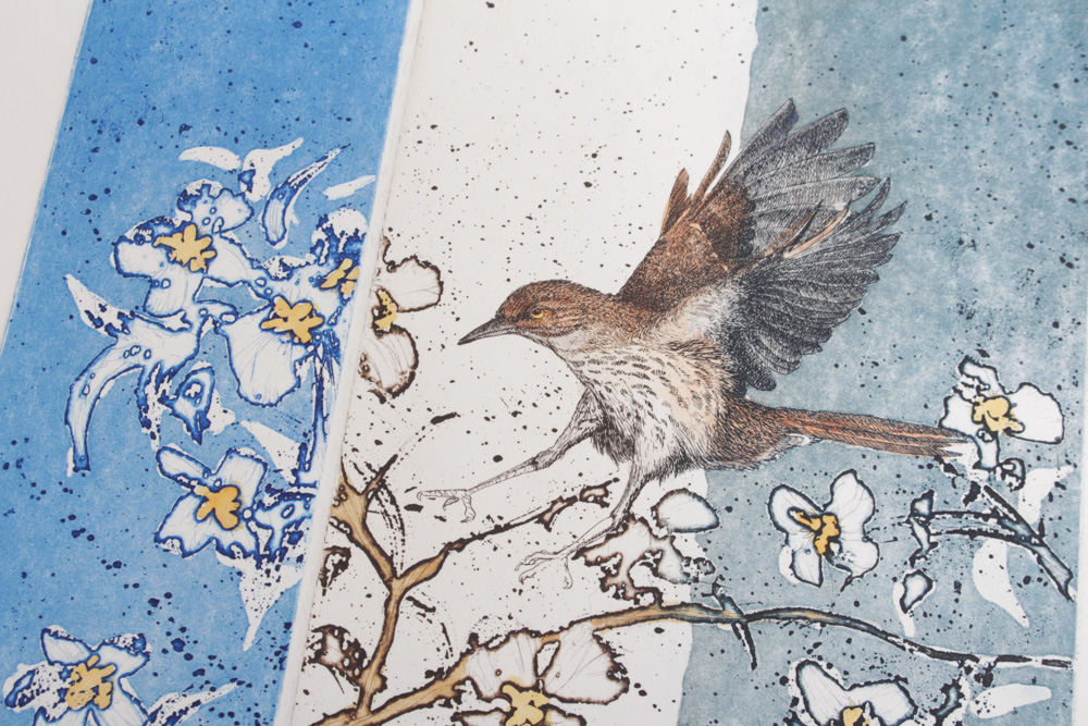 William Marlow Applied Colored Intaglio Print "Landing Thrasher"