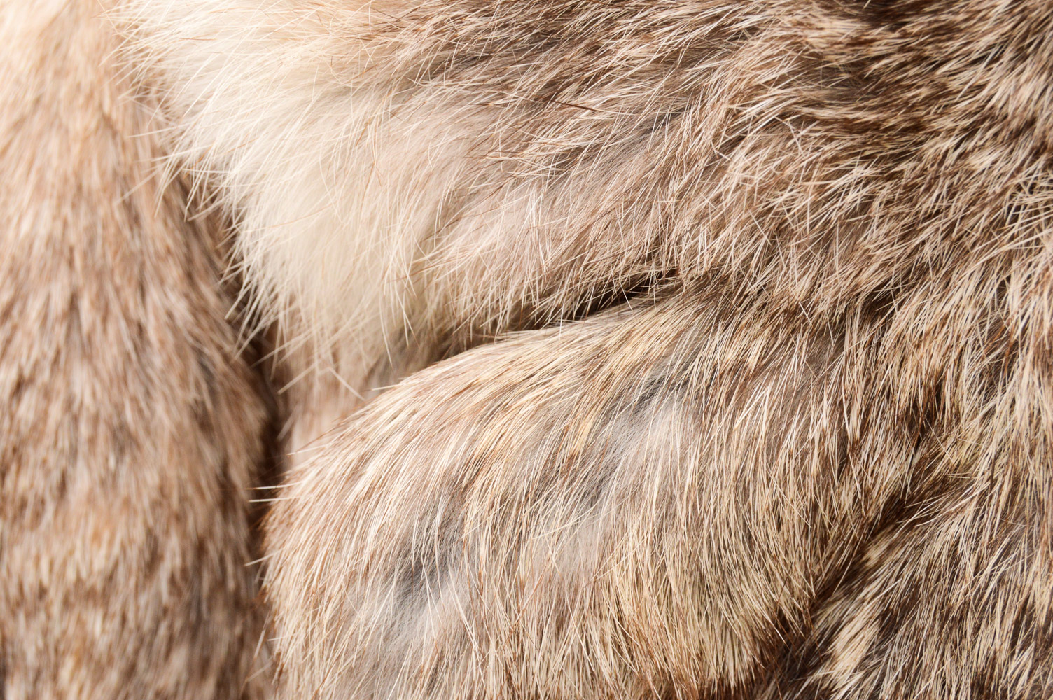 Vintage Mademoiselle Rabbit Fur Coat with Andrea Fox Trimmed Wool Coat