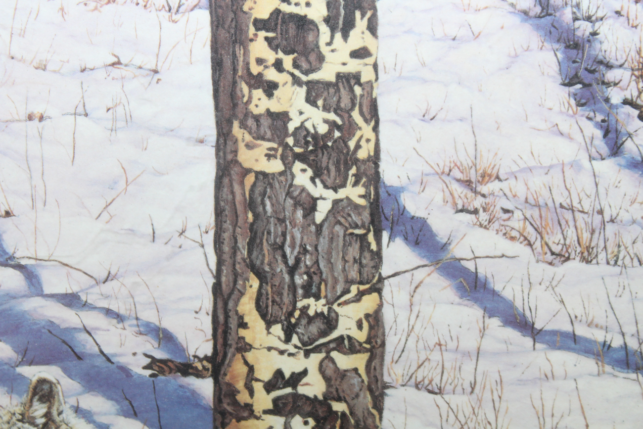 Eric Renk "Shades Of Mercy" Lithograph