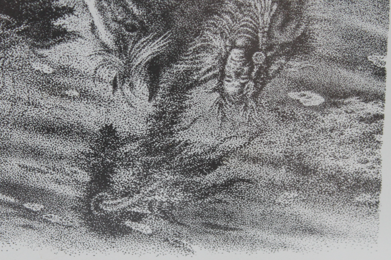 Bill O'Neill "Trapper" Offset Lithograph