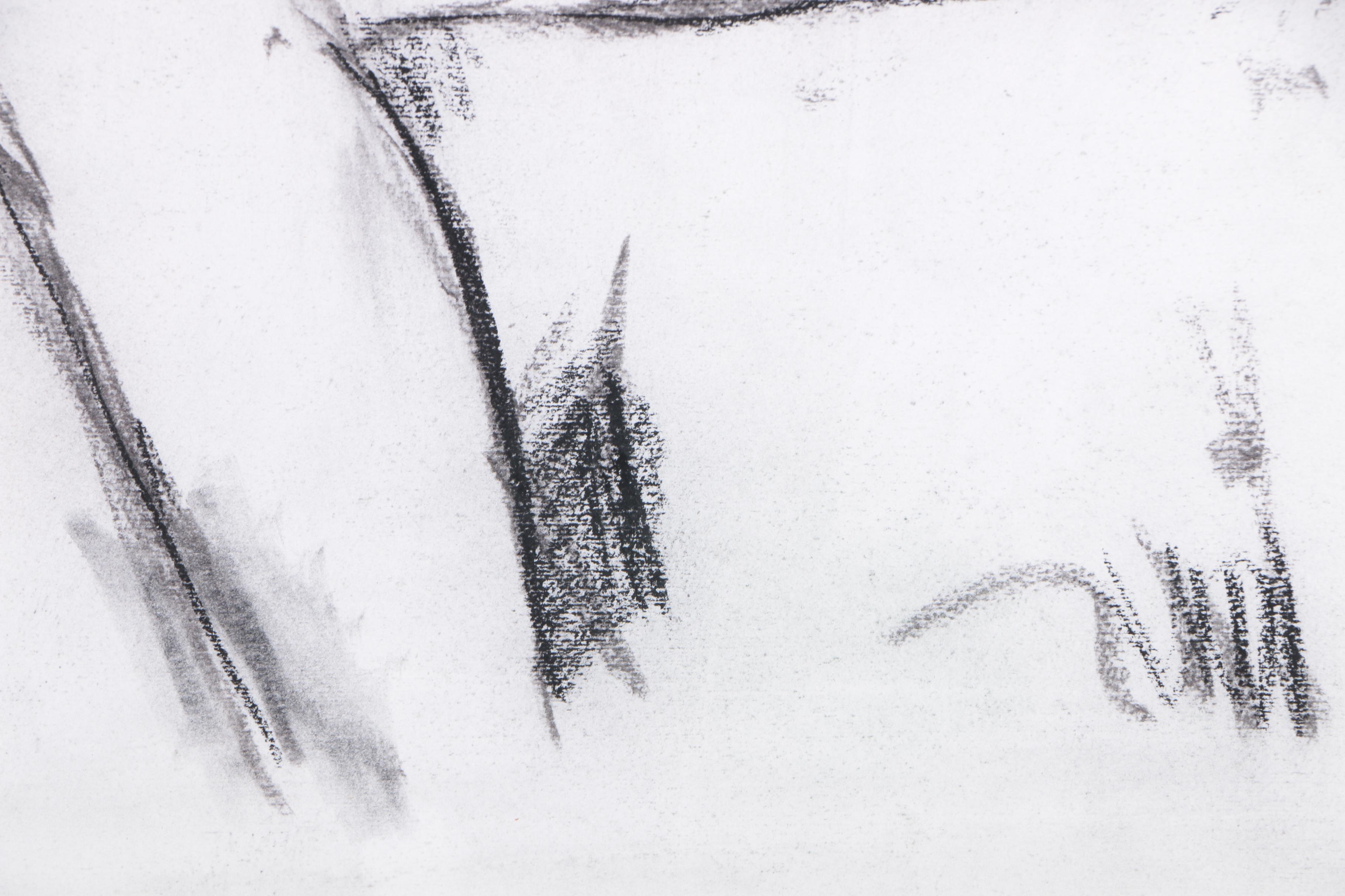 Late 20th-Century Charcoal Drawings of Female Nudes