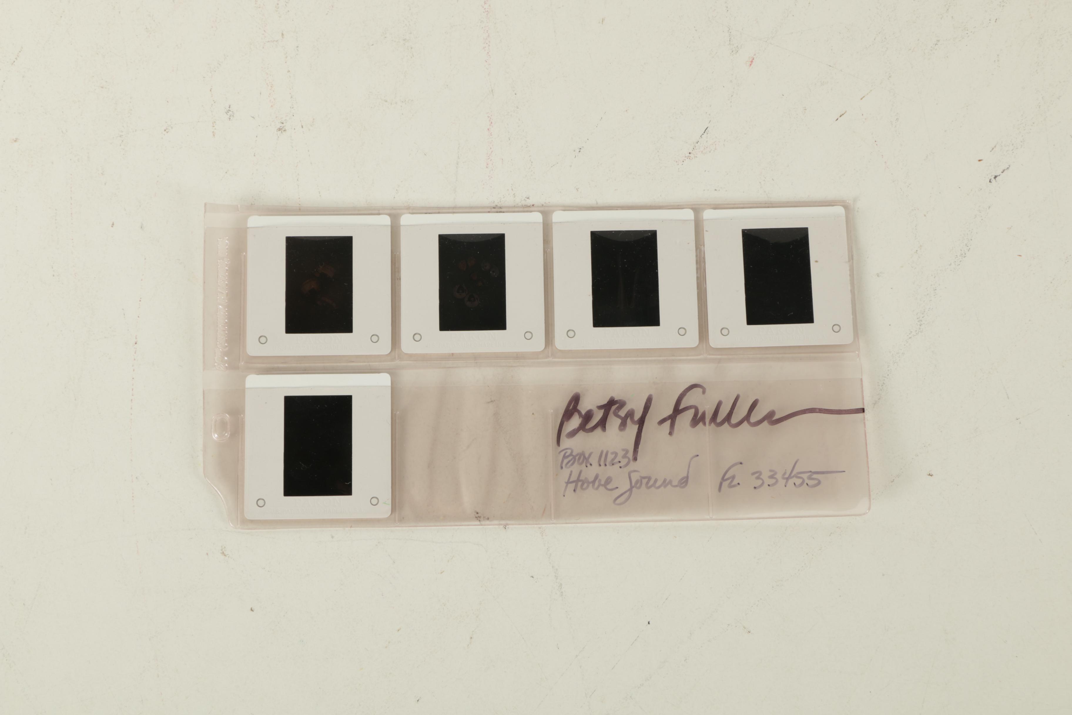 Betsy Fuller Jewelry Design Drawing and Photographs