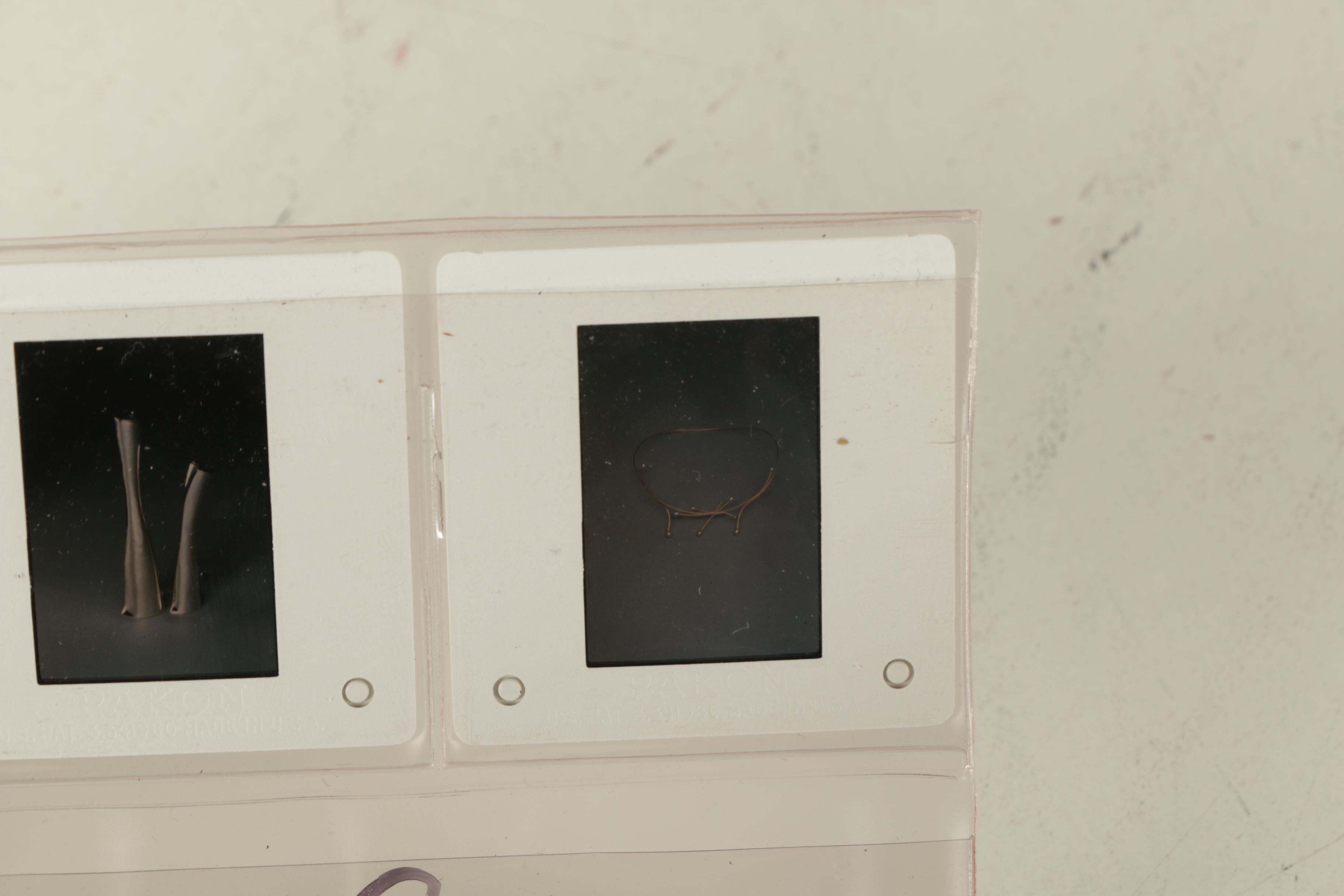 Betsy Fuller Jewelry Design Drawing and Photographs