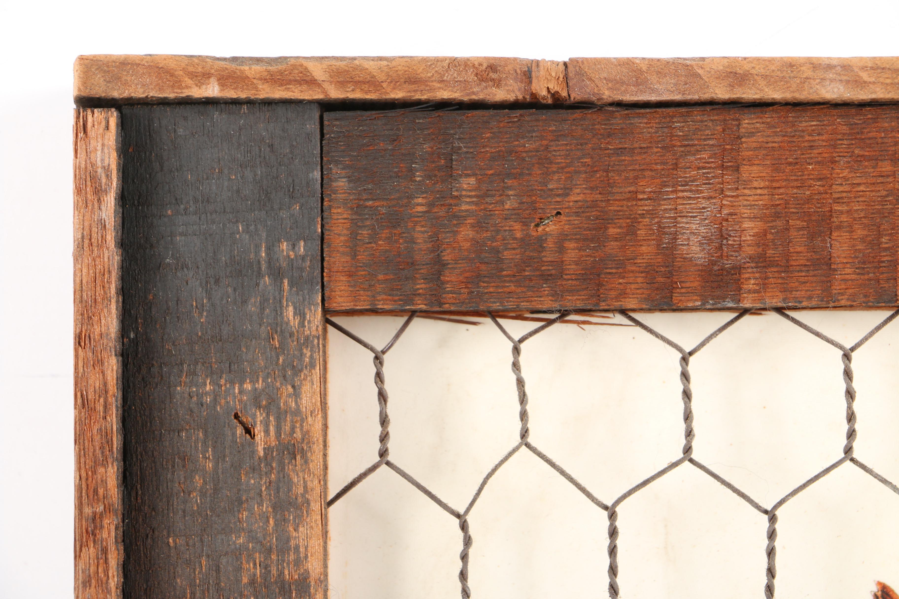 Offset Lithograph on Paper with Chicken Wire, Straw, and Feathers of a Rooster