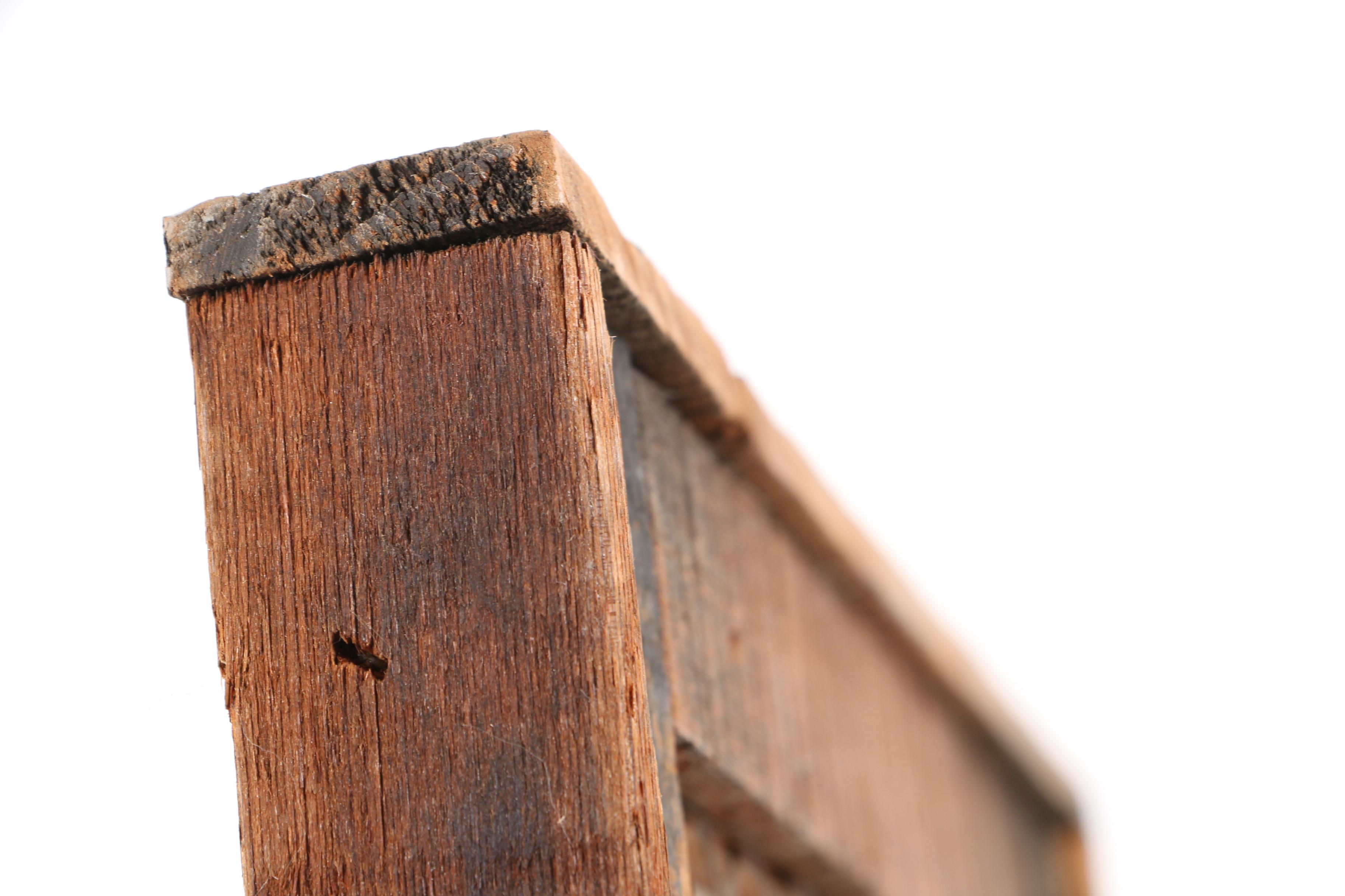 Offset Lithograph on Paper with Chicken Wire, Straw, and Feathers of a Rooster