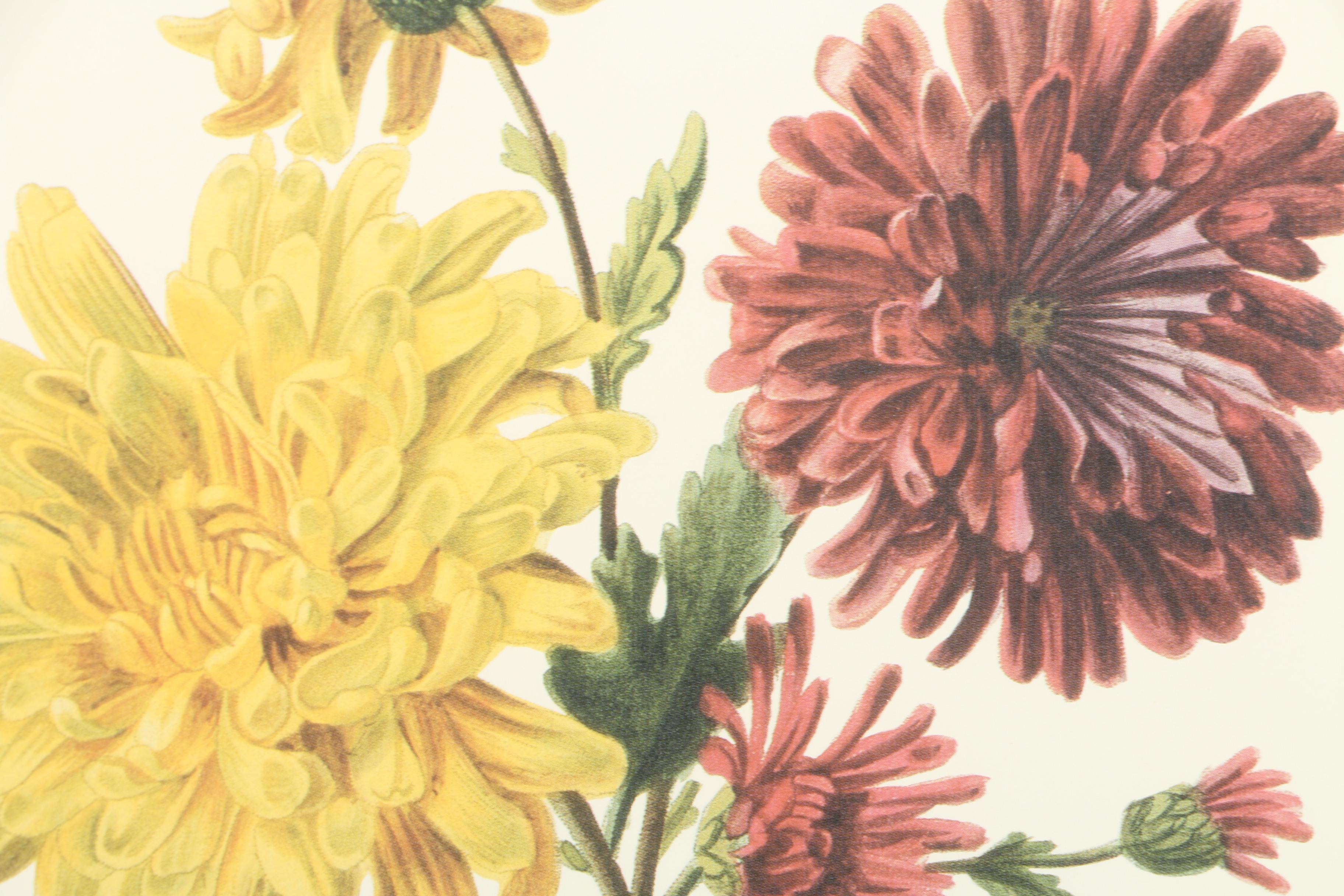 Offset Lithograph on Paper of Chrysanthemums