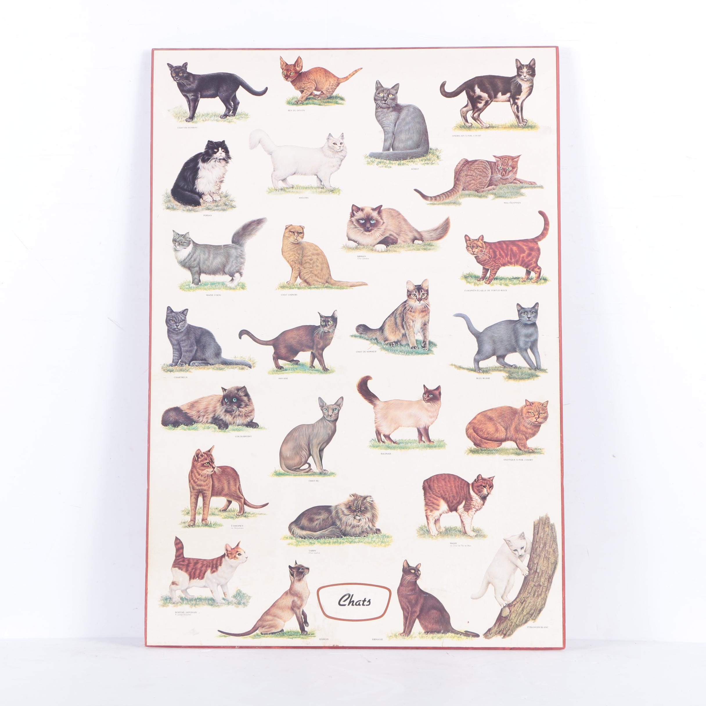 Offset Lithograph Print on Paper "Chats"