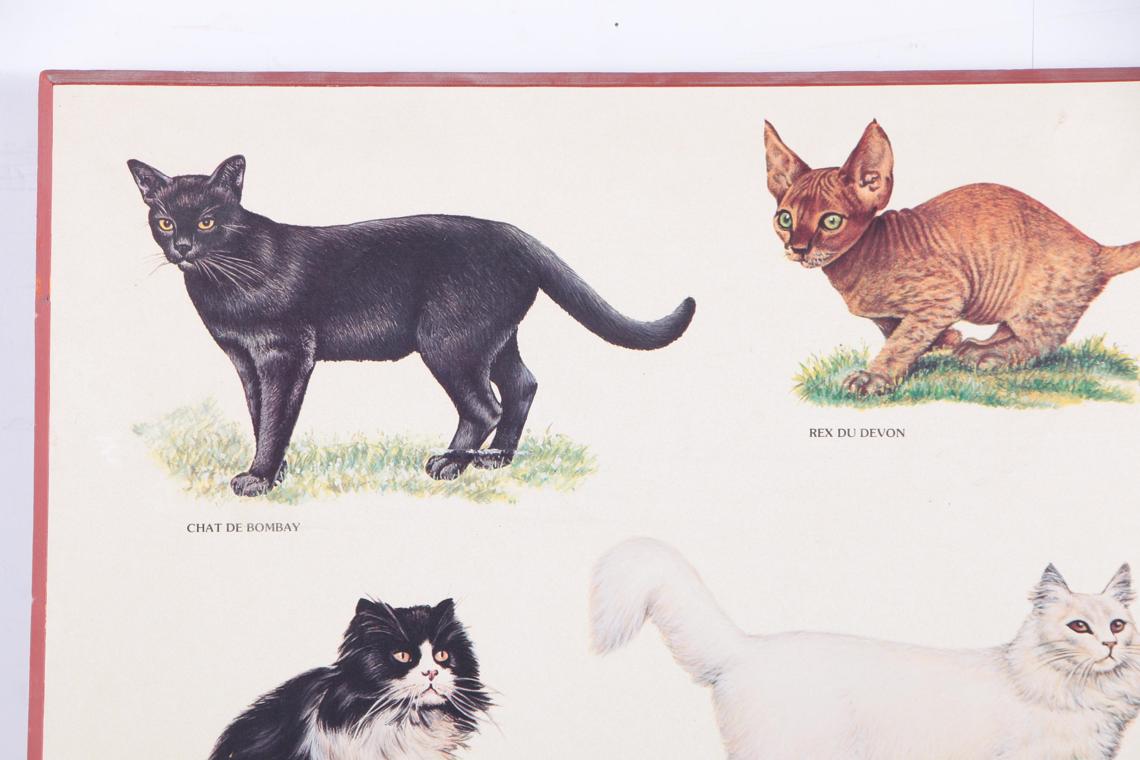 Offset Lithograph Print on Paper "Chats"