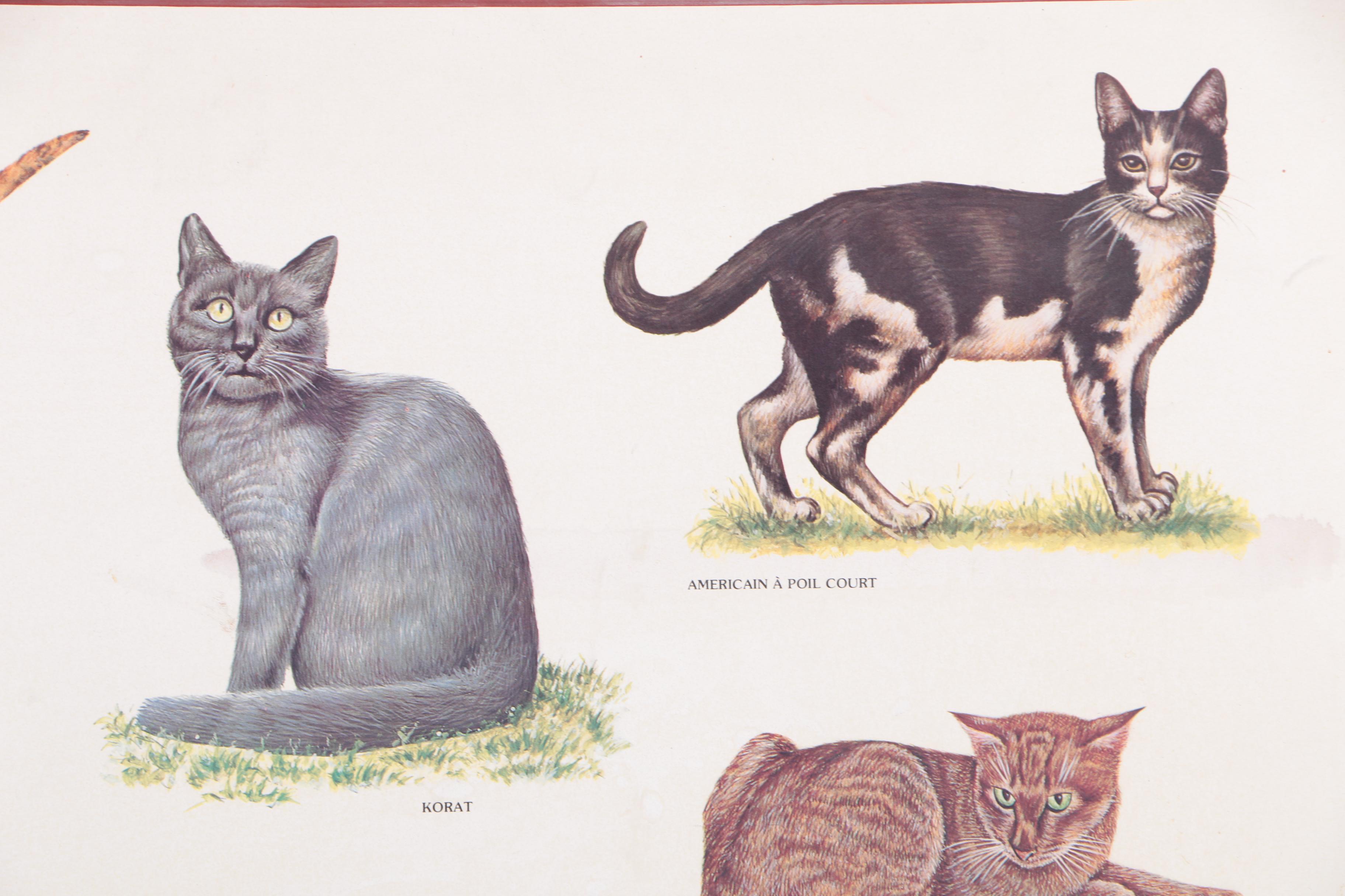 Offset Lithograph Print on Paper "Chats"