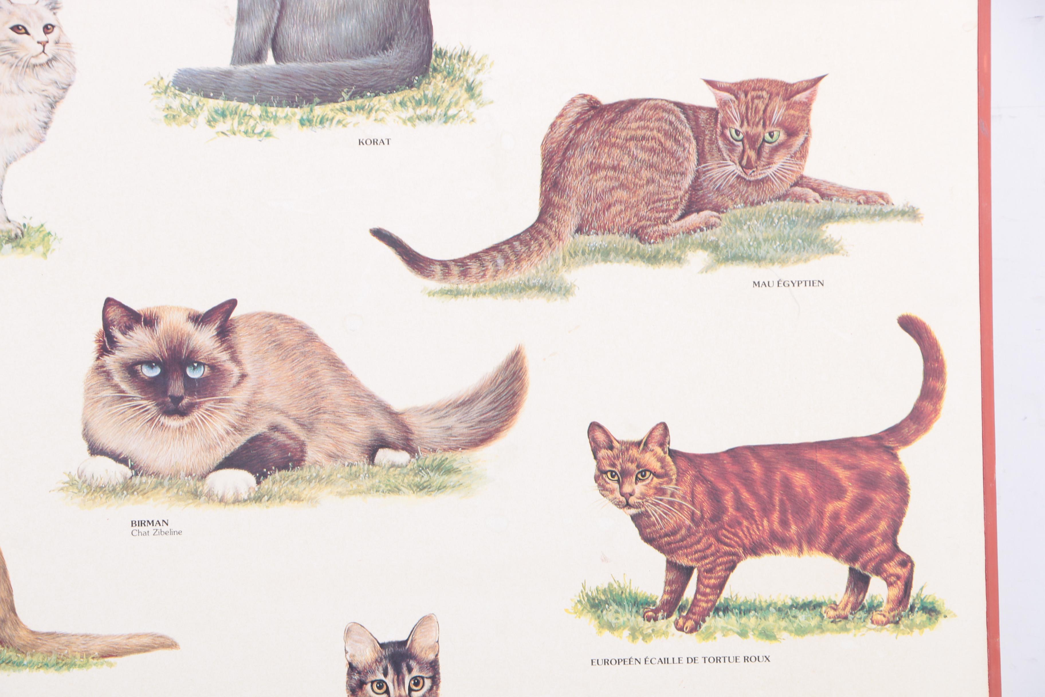 Offset Lithograph Print on Paper "Chats"