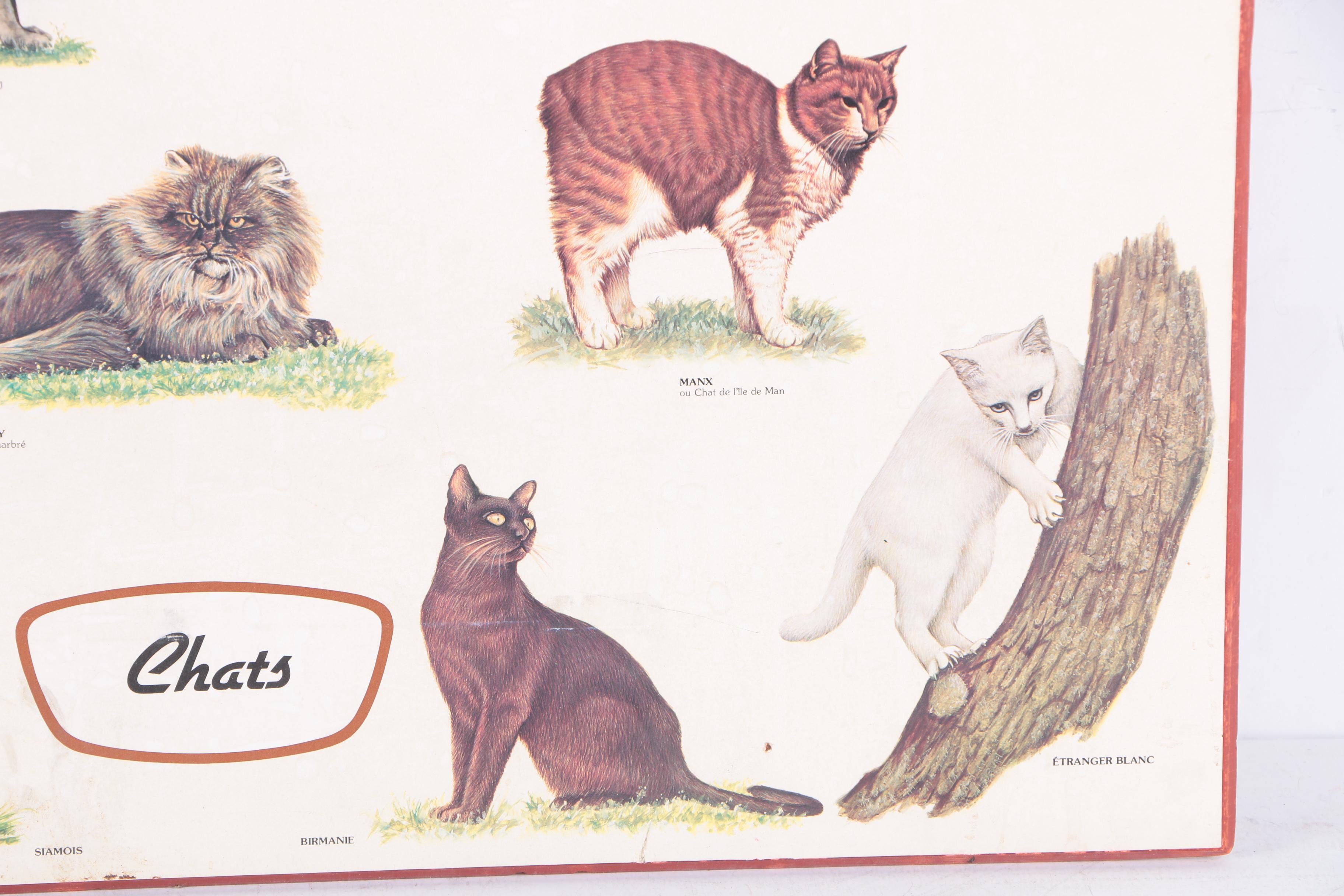 Offset Lithograph Print on Paper "Chats"