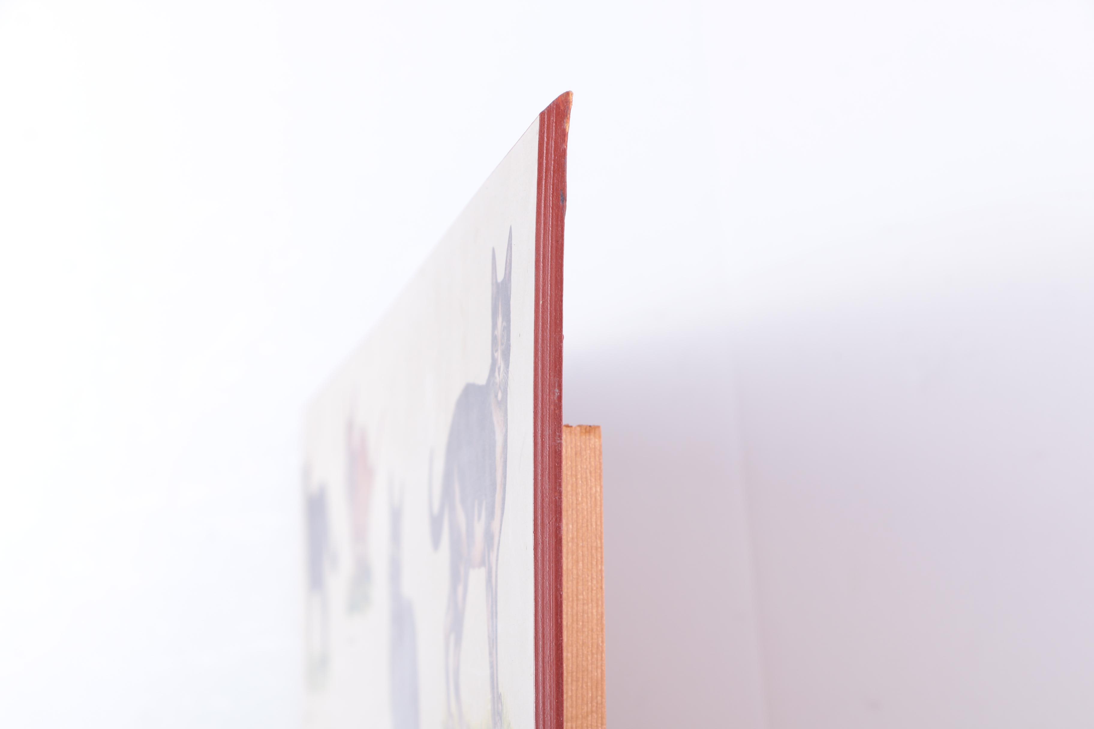 Offset Lithograph Print on Paper "Chats"