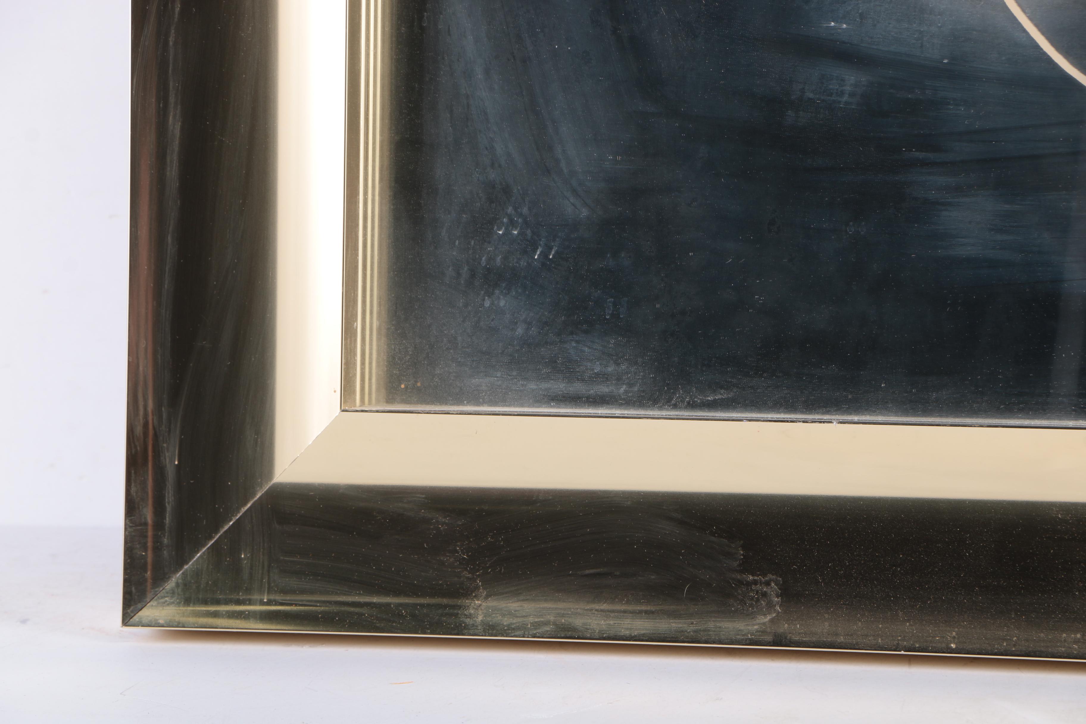 Vintage Framed Mirror Art with Lunaria Plant