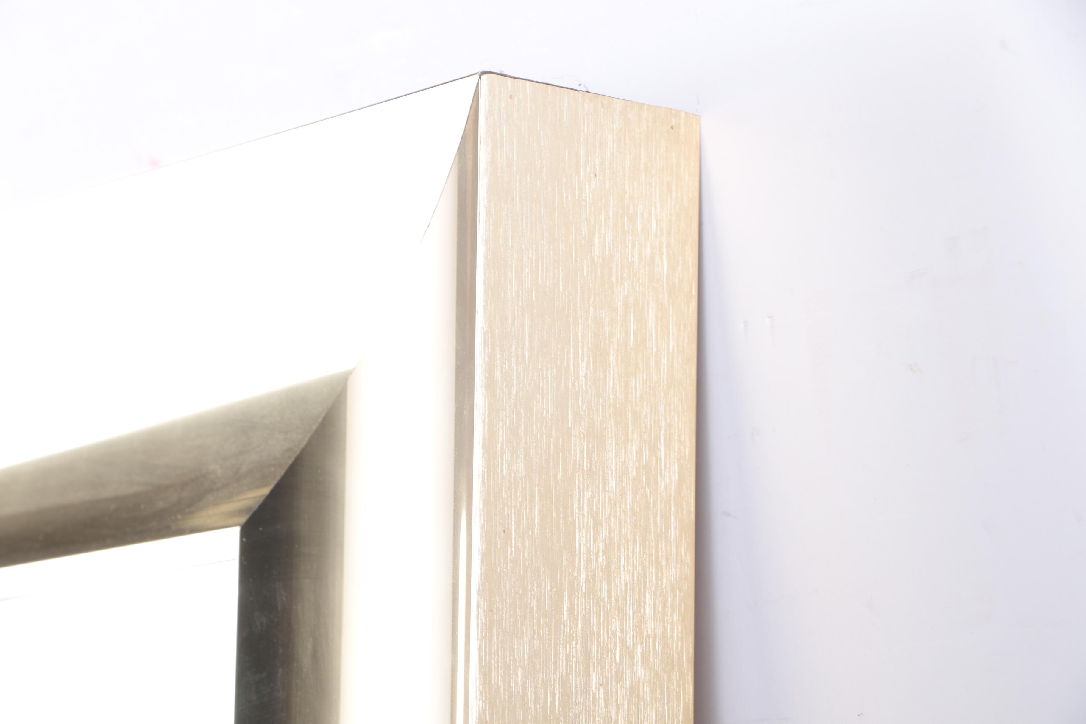 Vintage Framed Mirror Art with Lunaria Plant