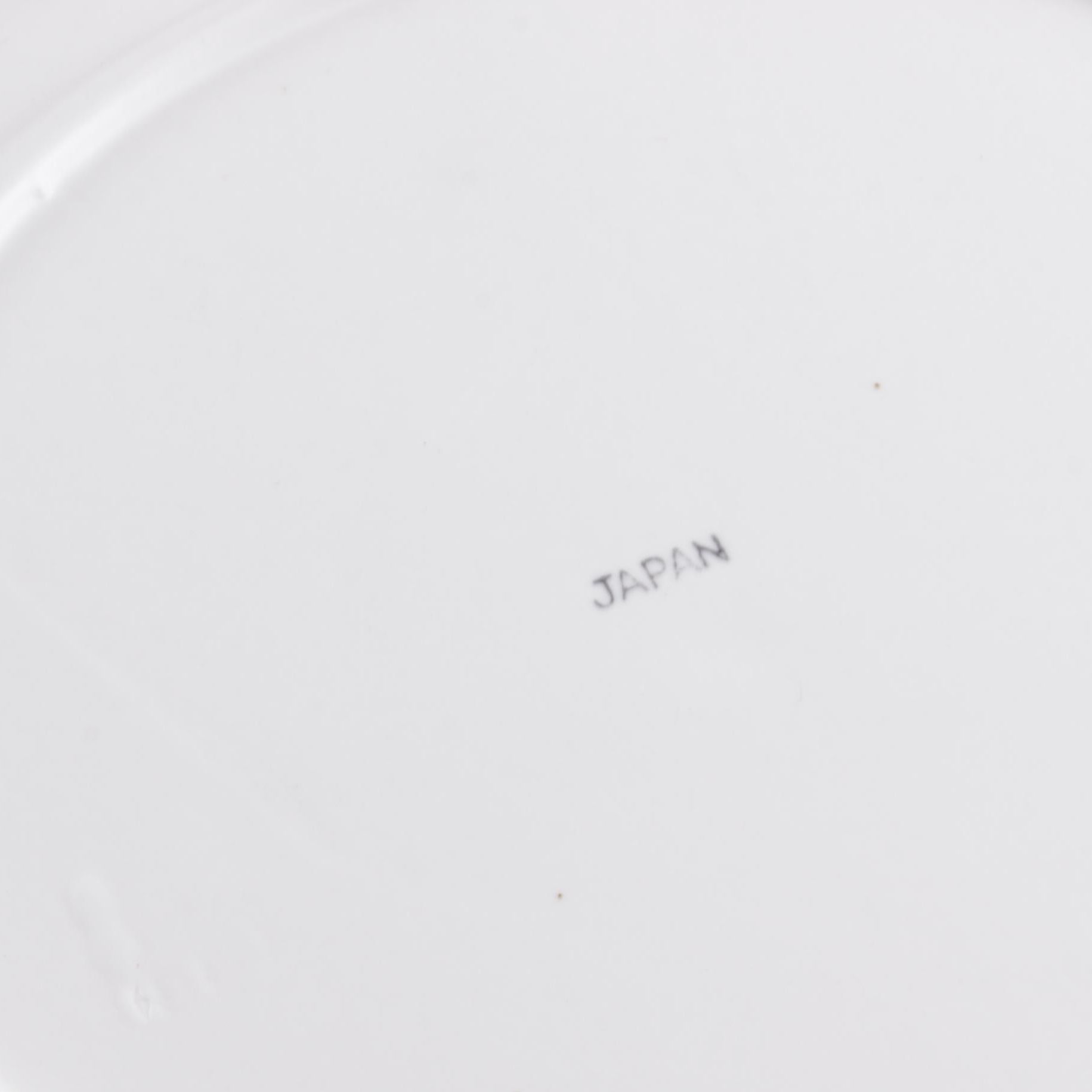 Japanese Divided Fondue Plates